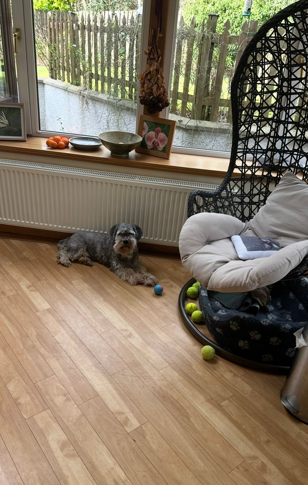 image-16
