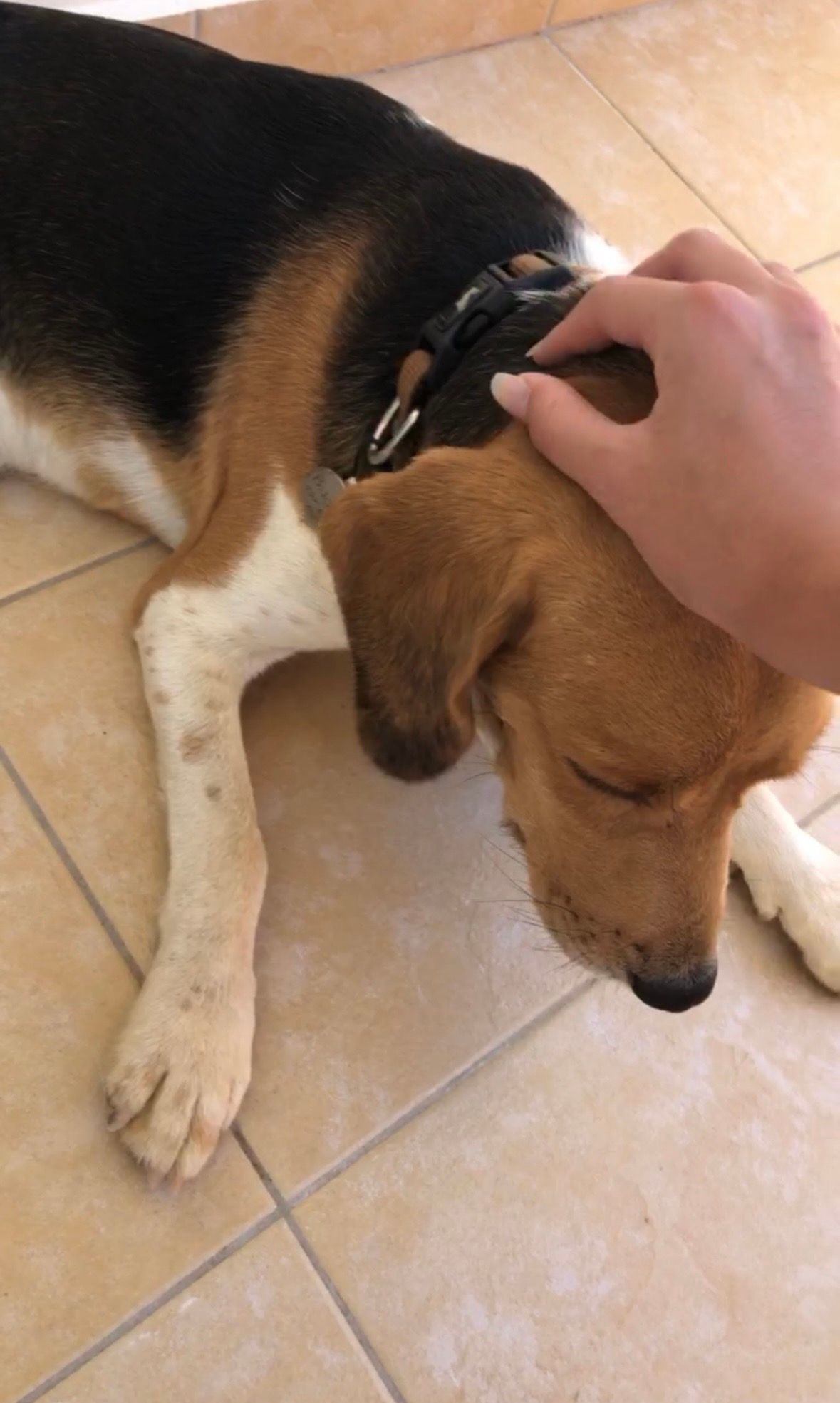image-20