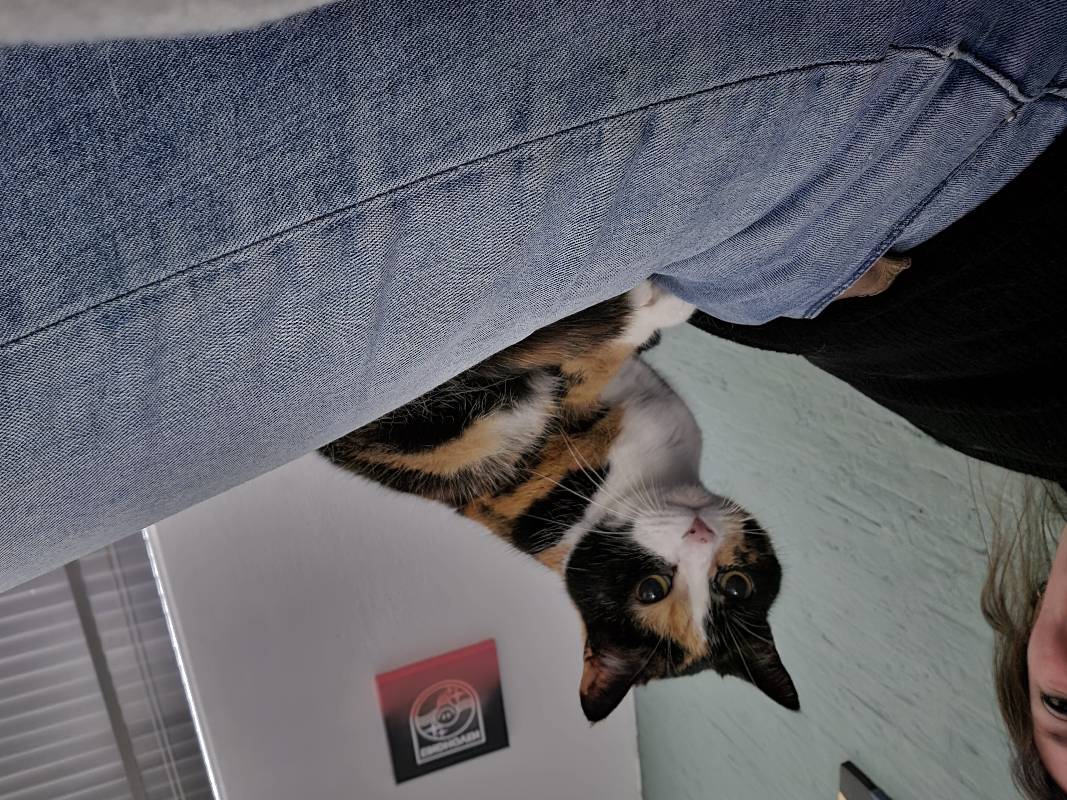 image-8