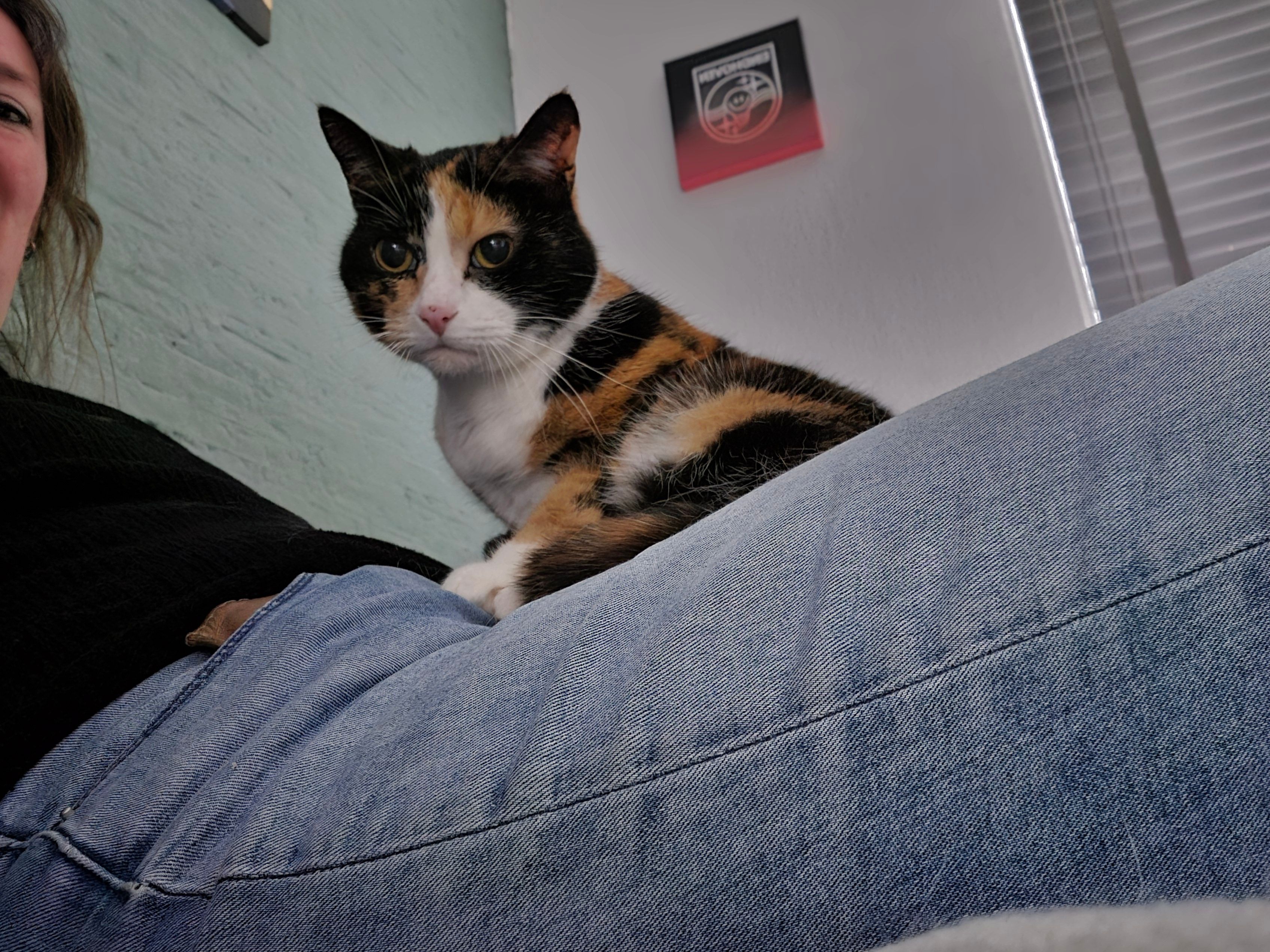 image-8