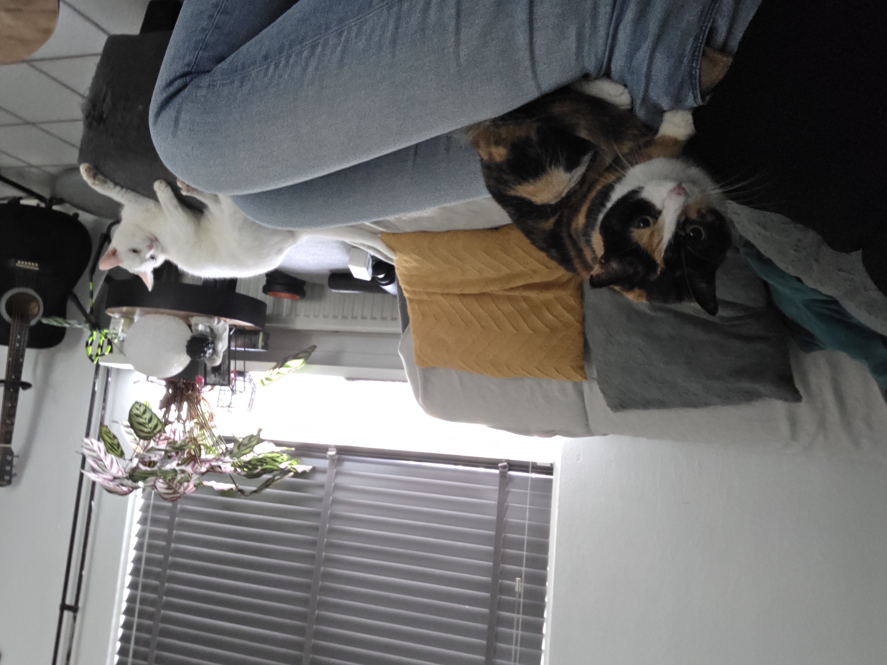 image-9