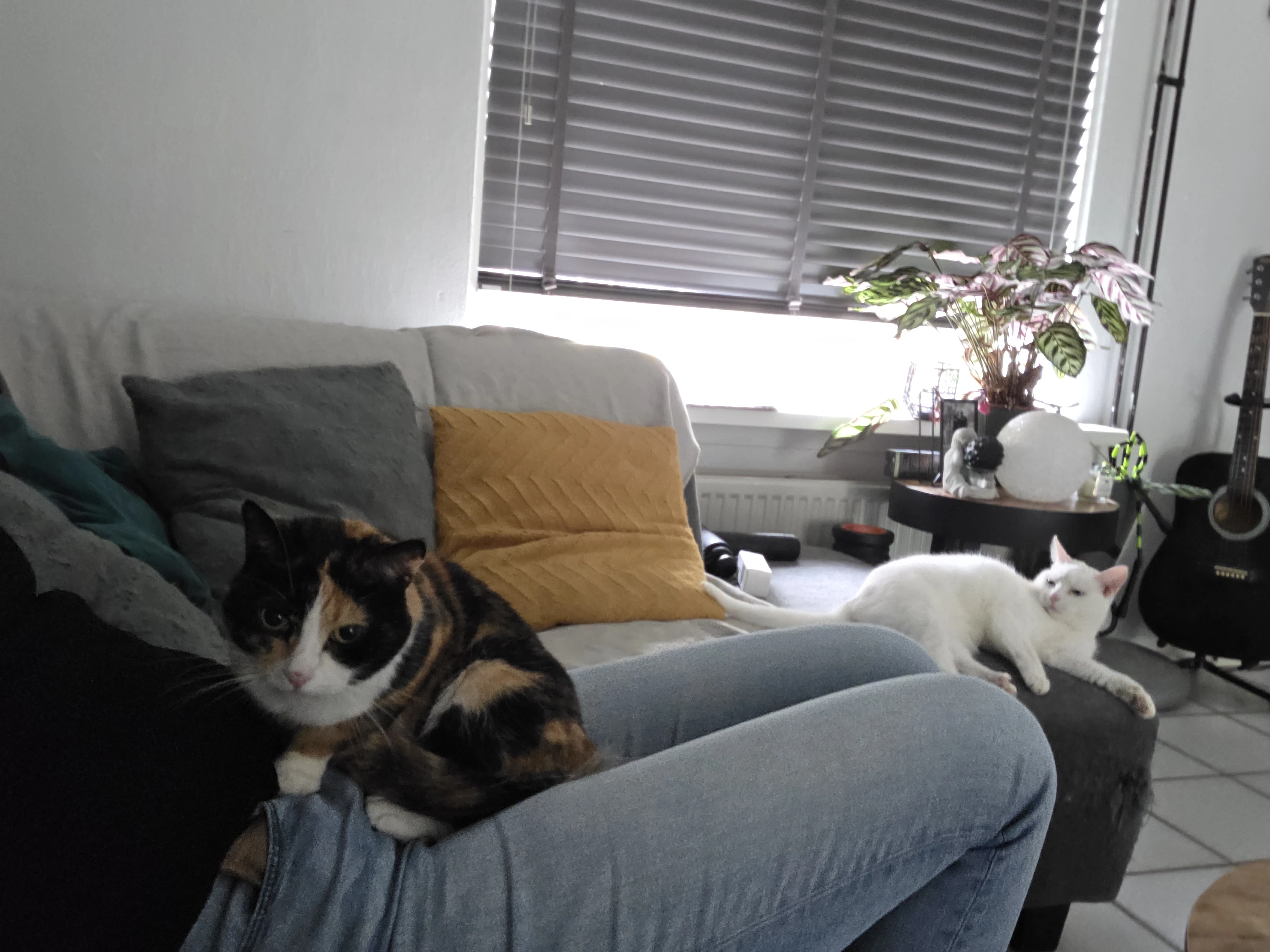 image-5
