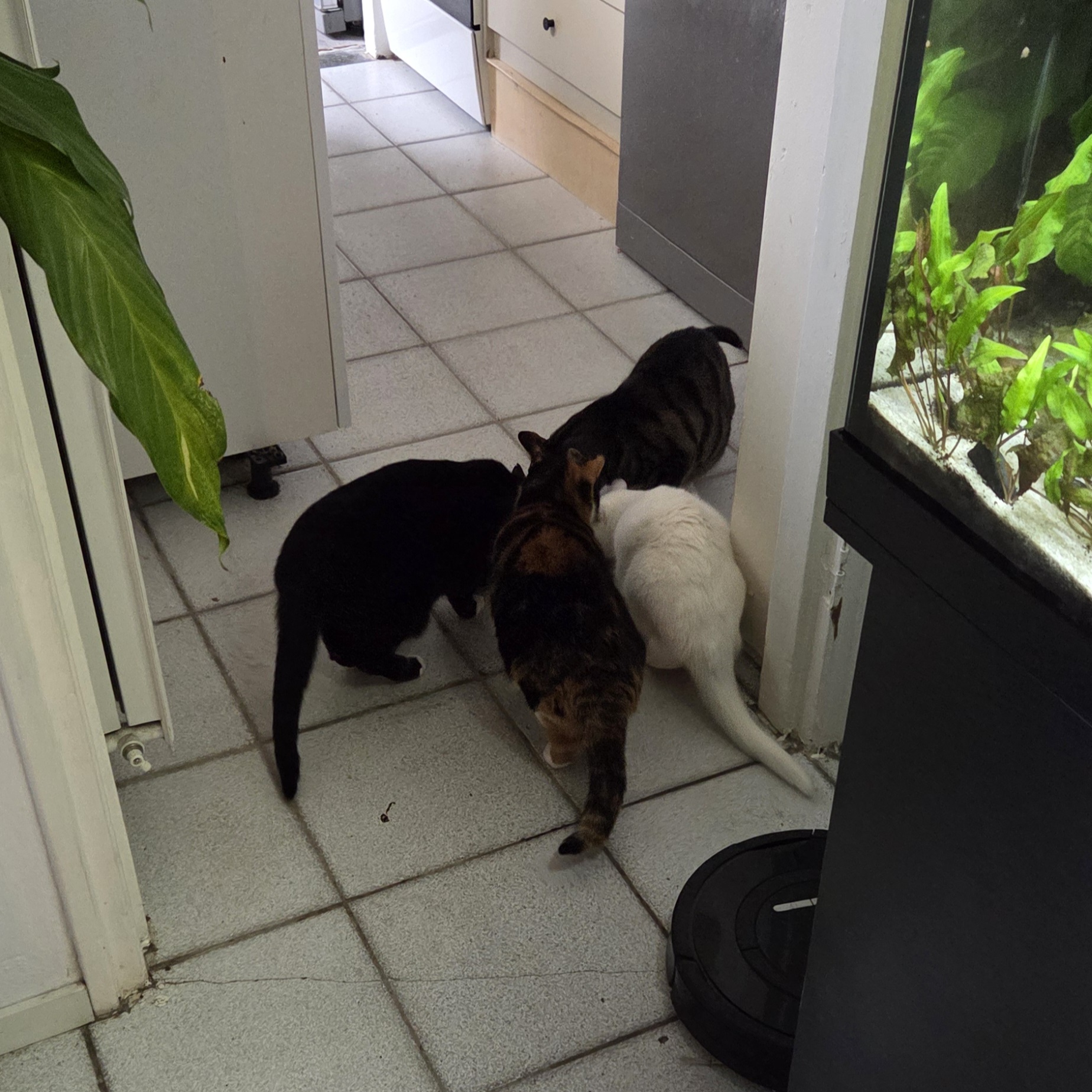image-10