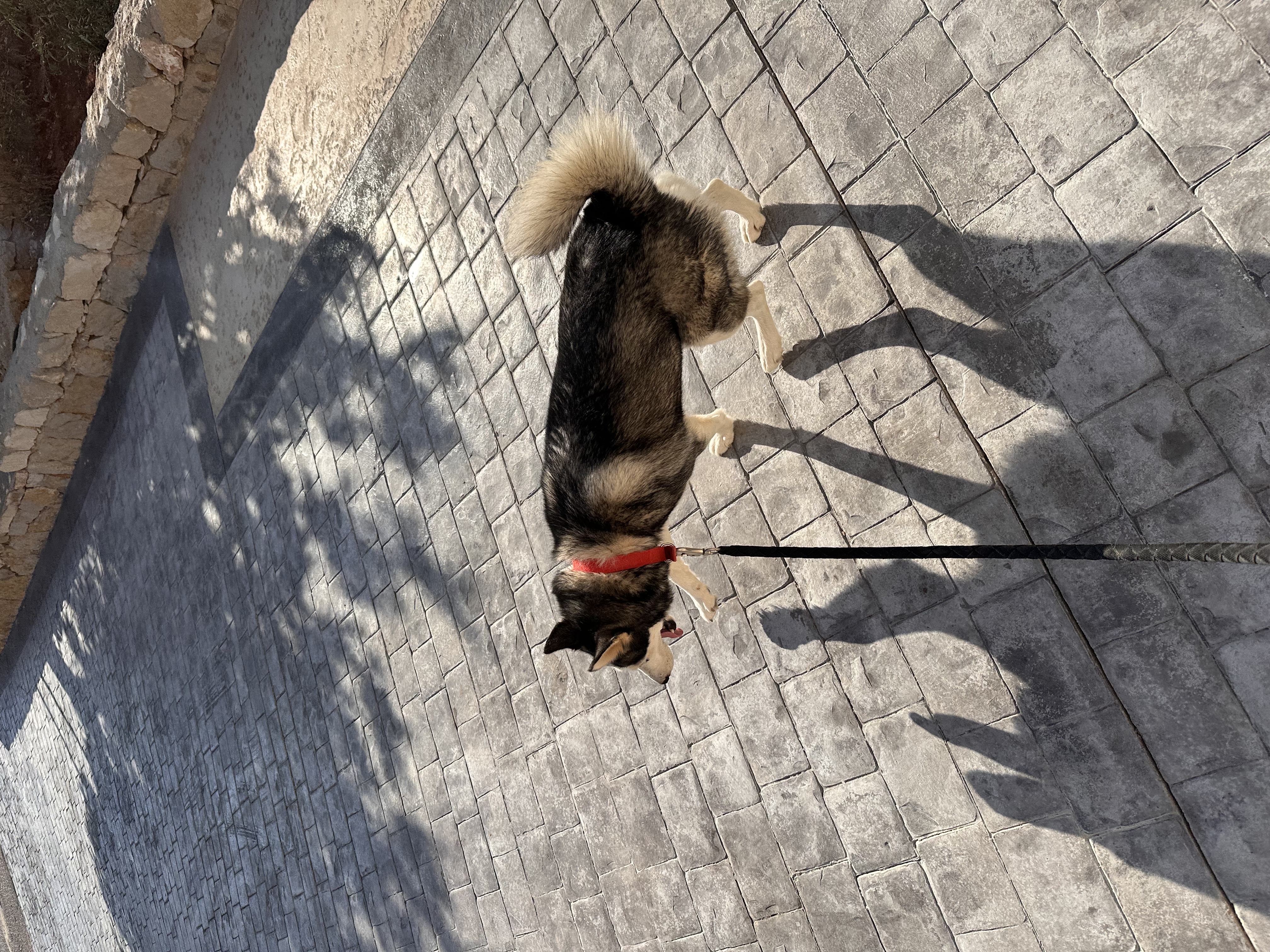 image-7