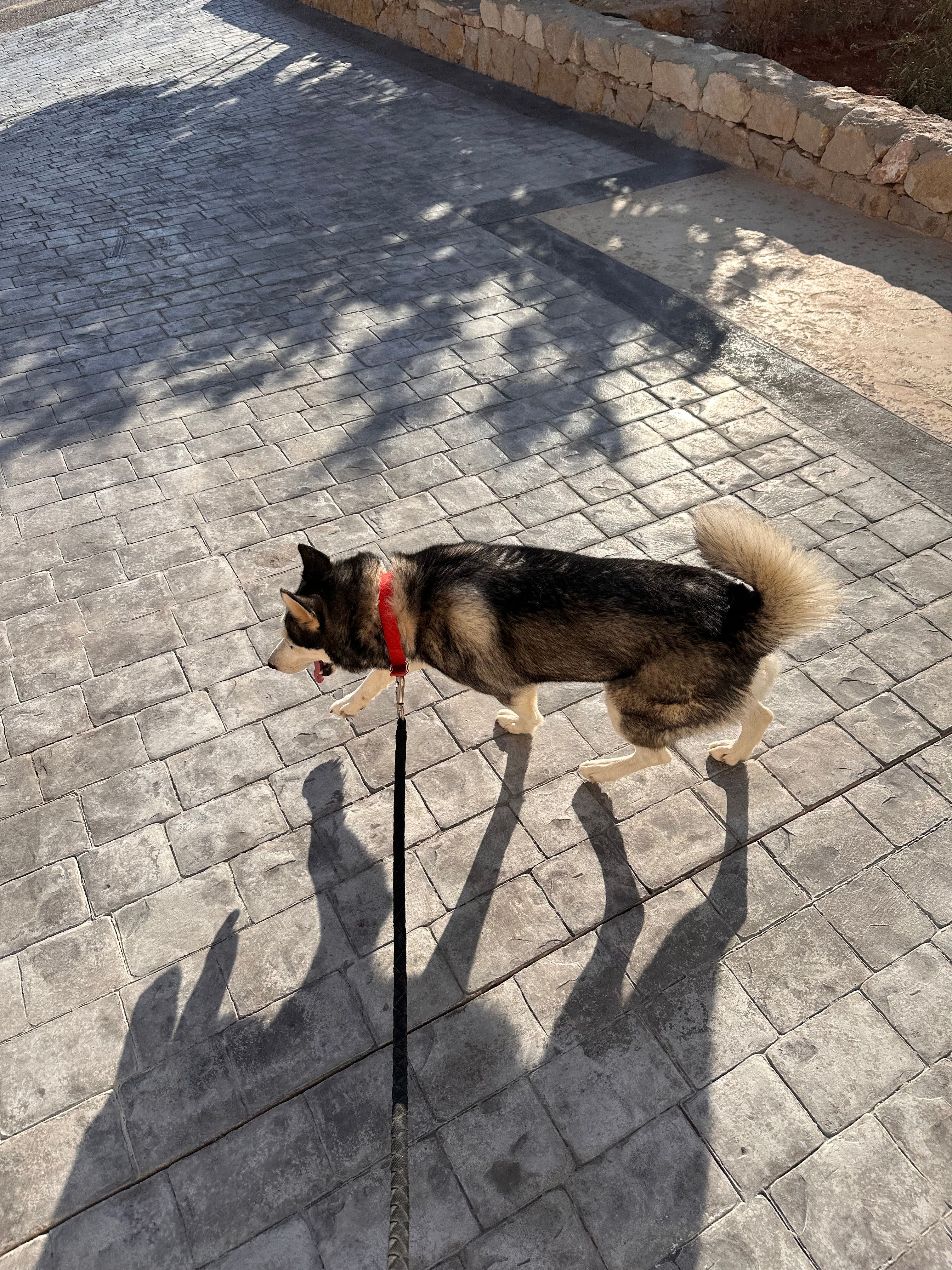 image-7