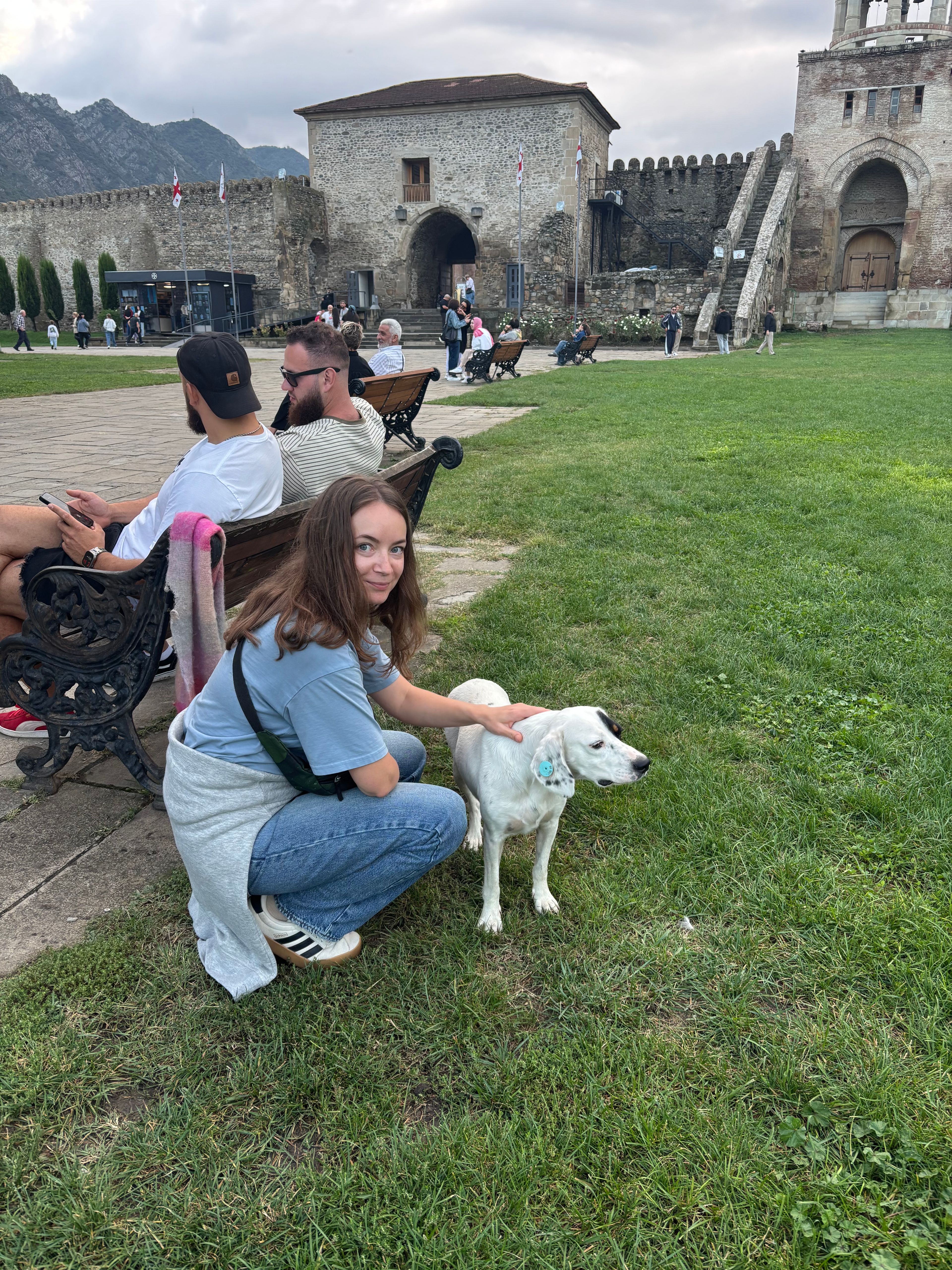 image-11