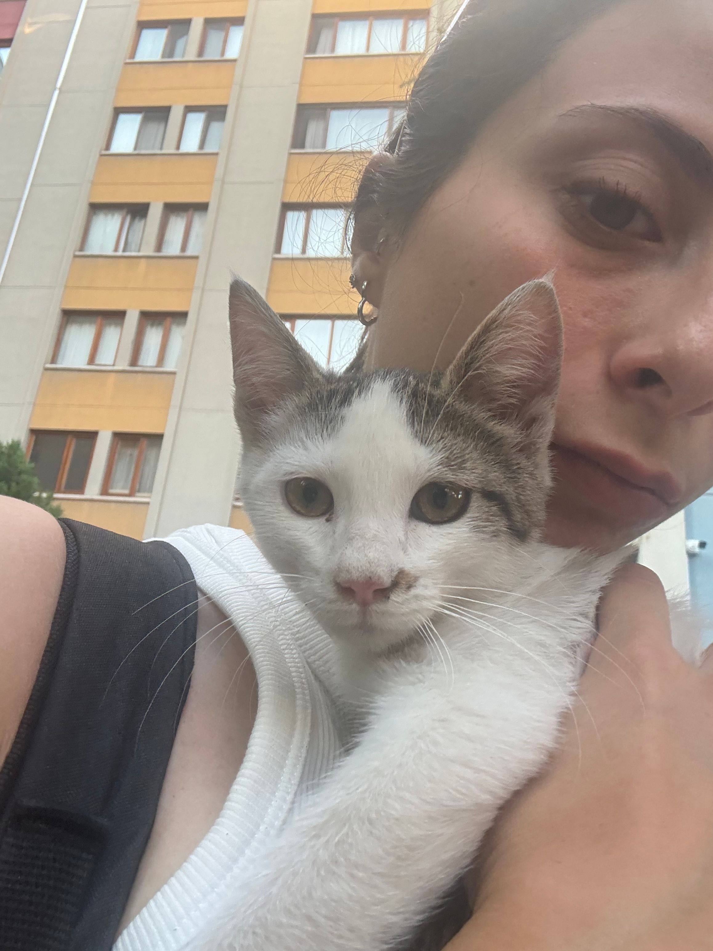 image-35