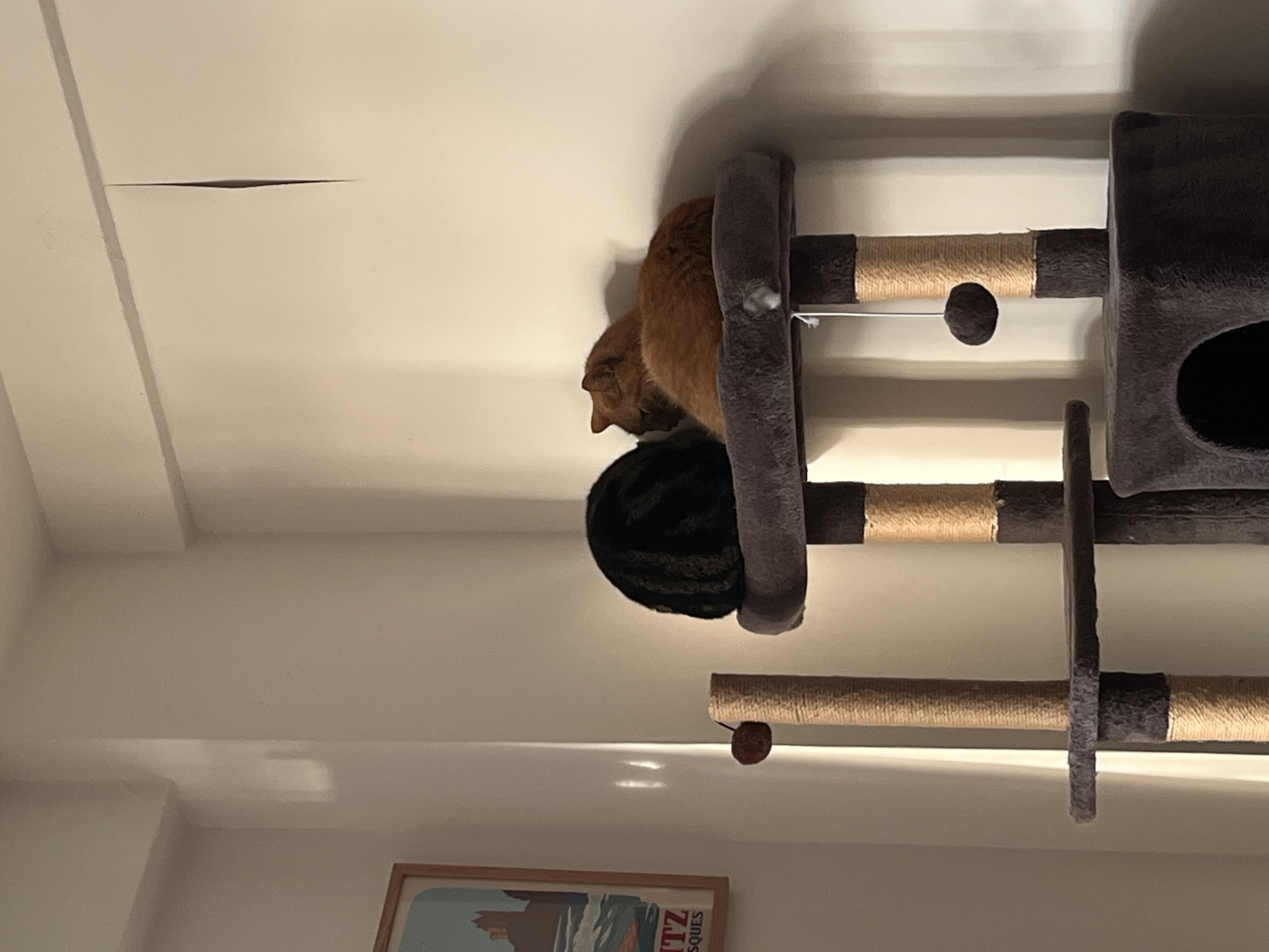 image-14