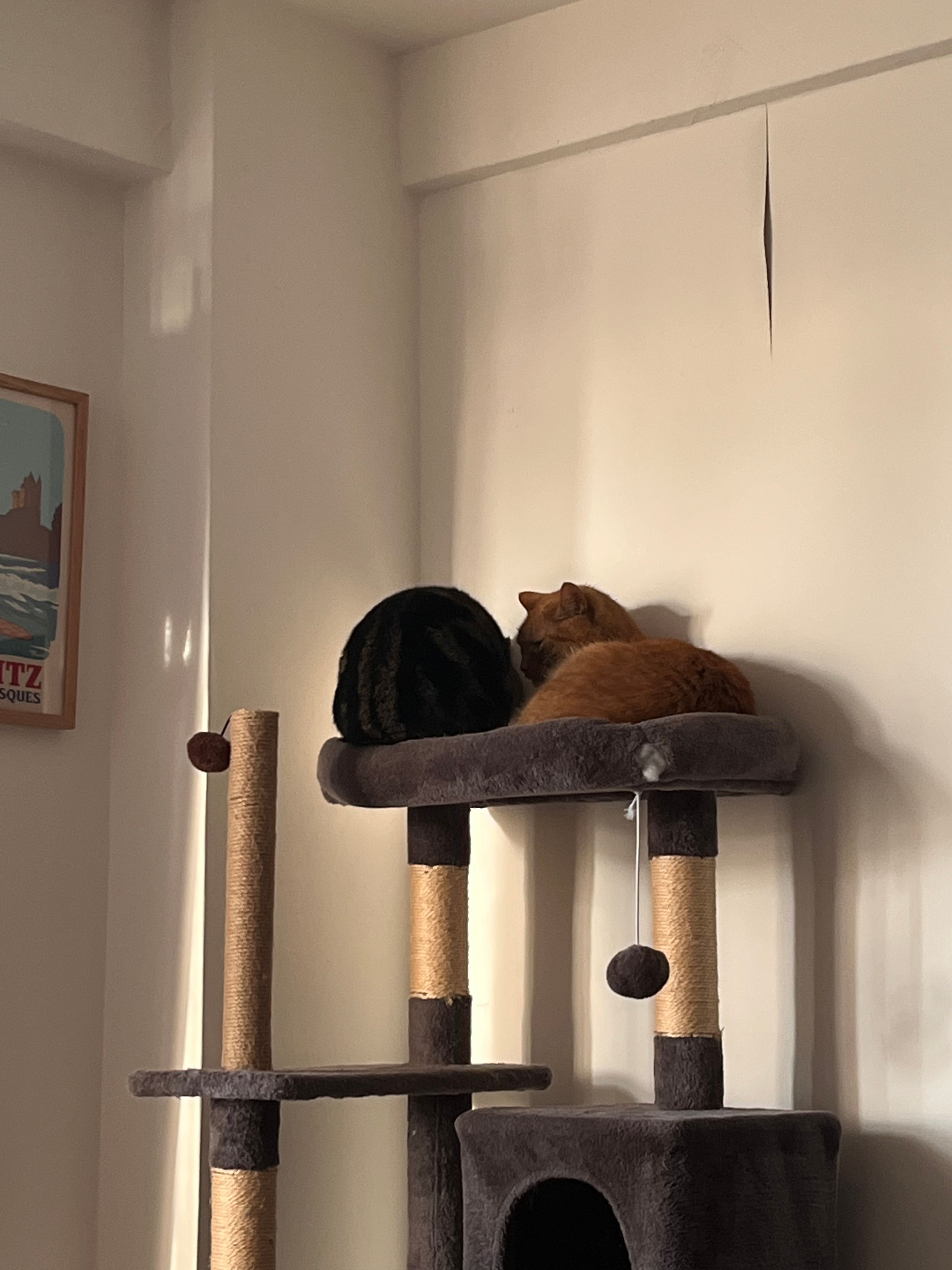 image-14