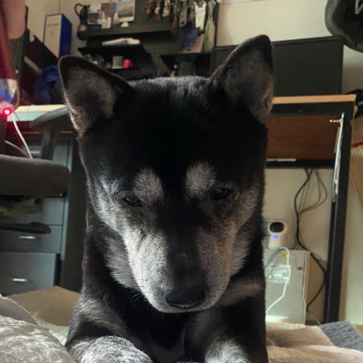 muk-ku-rum (dark cloud)