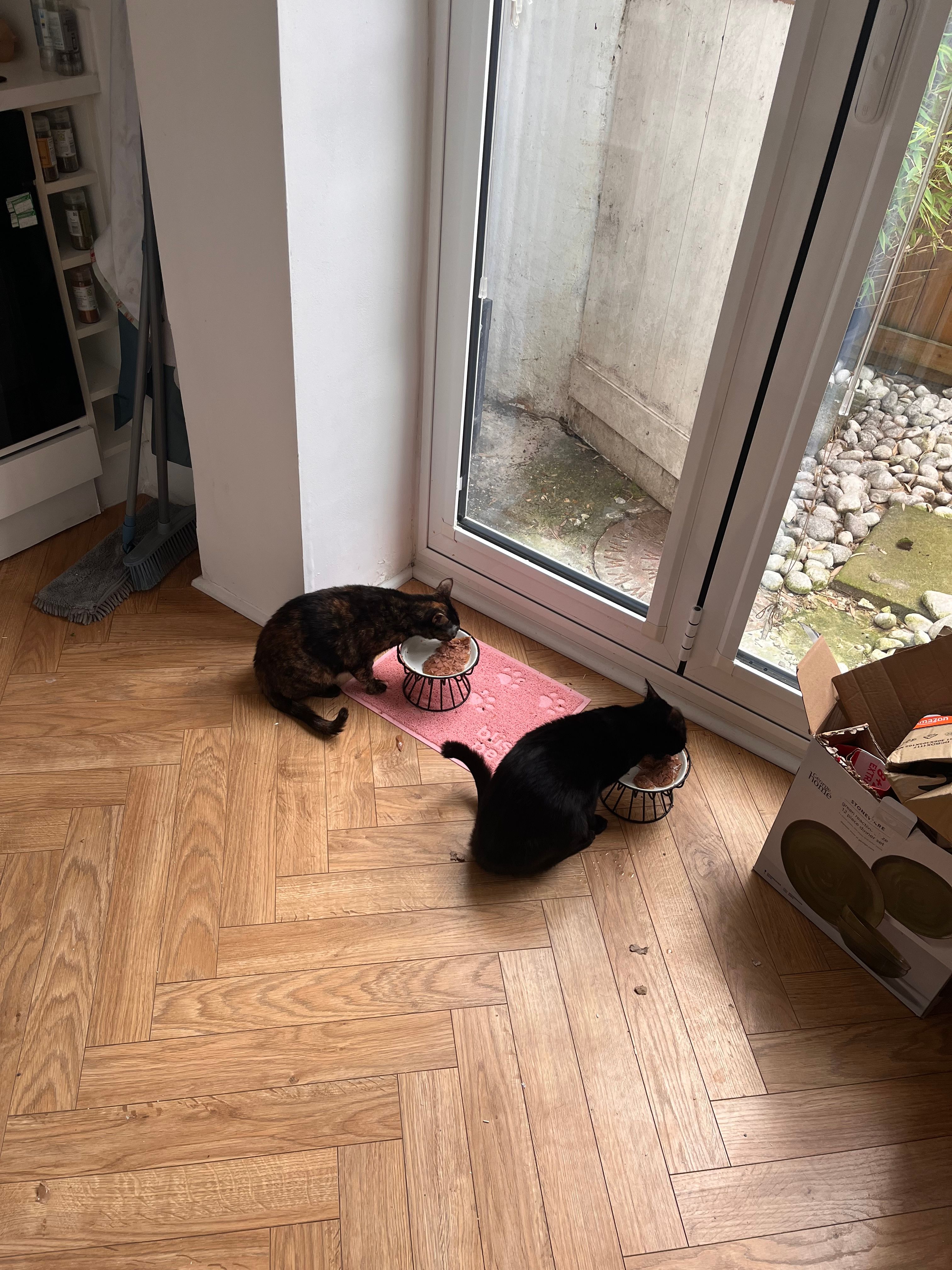 image-11