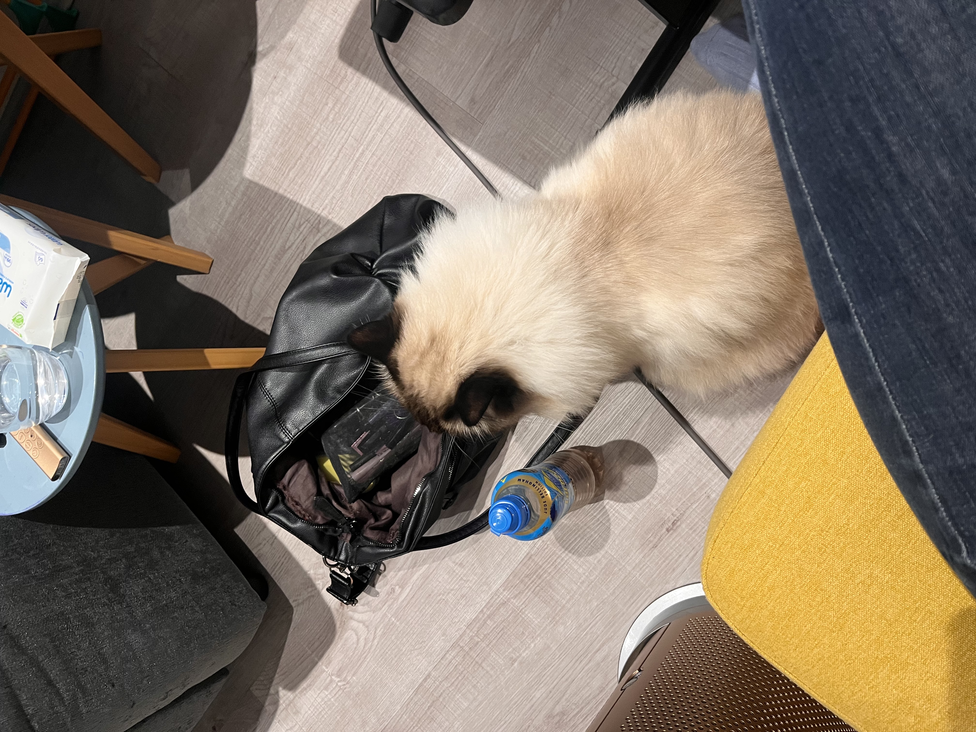 image-15