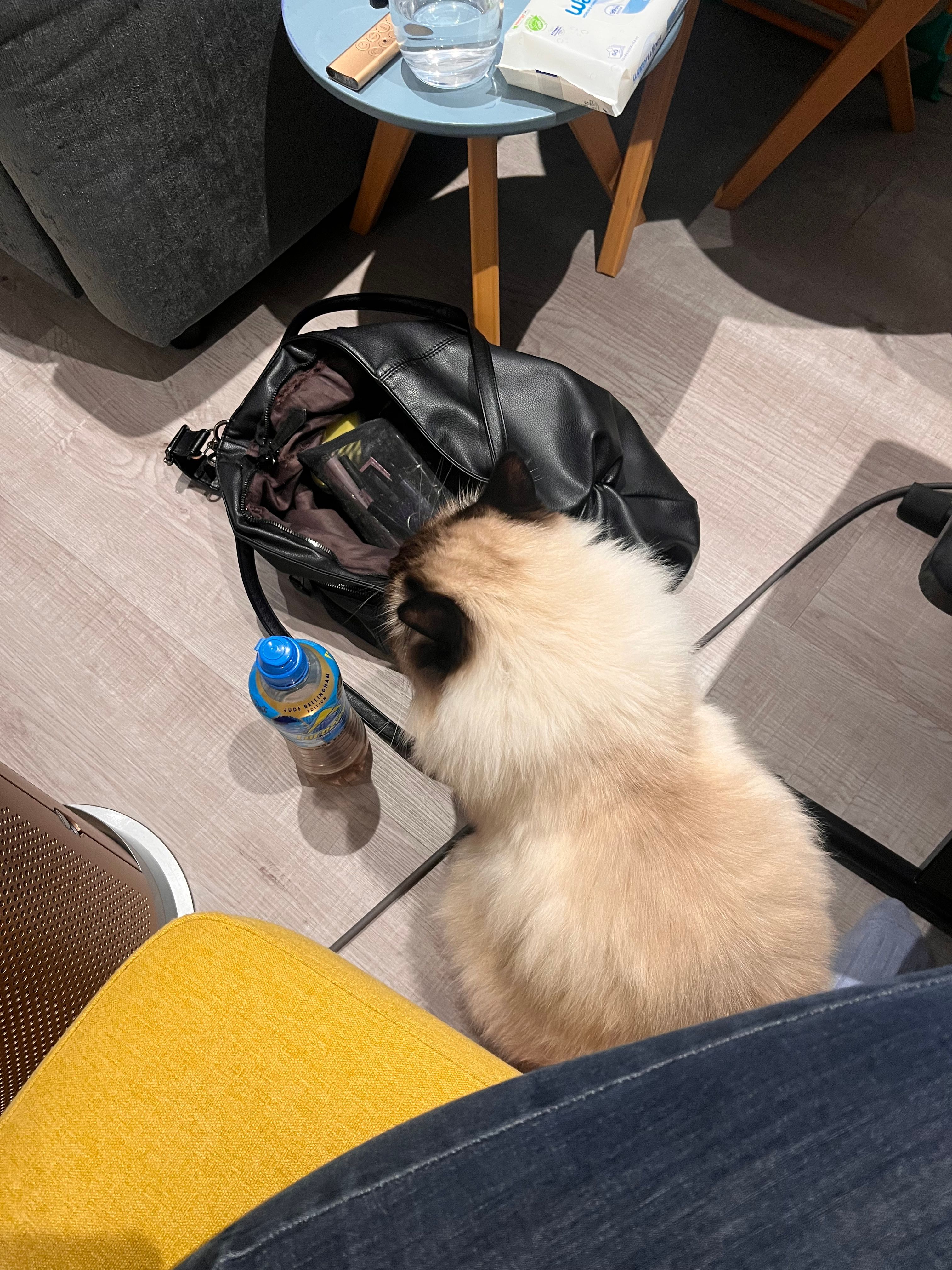 image-15