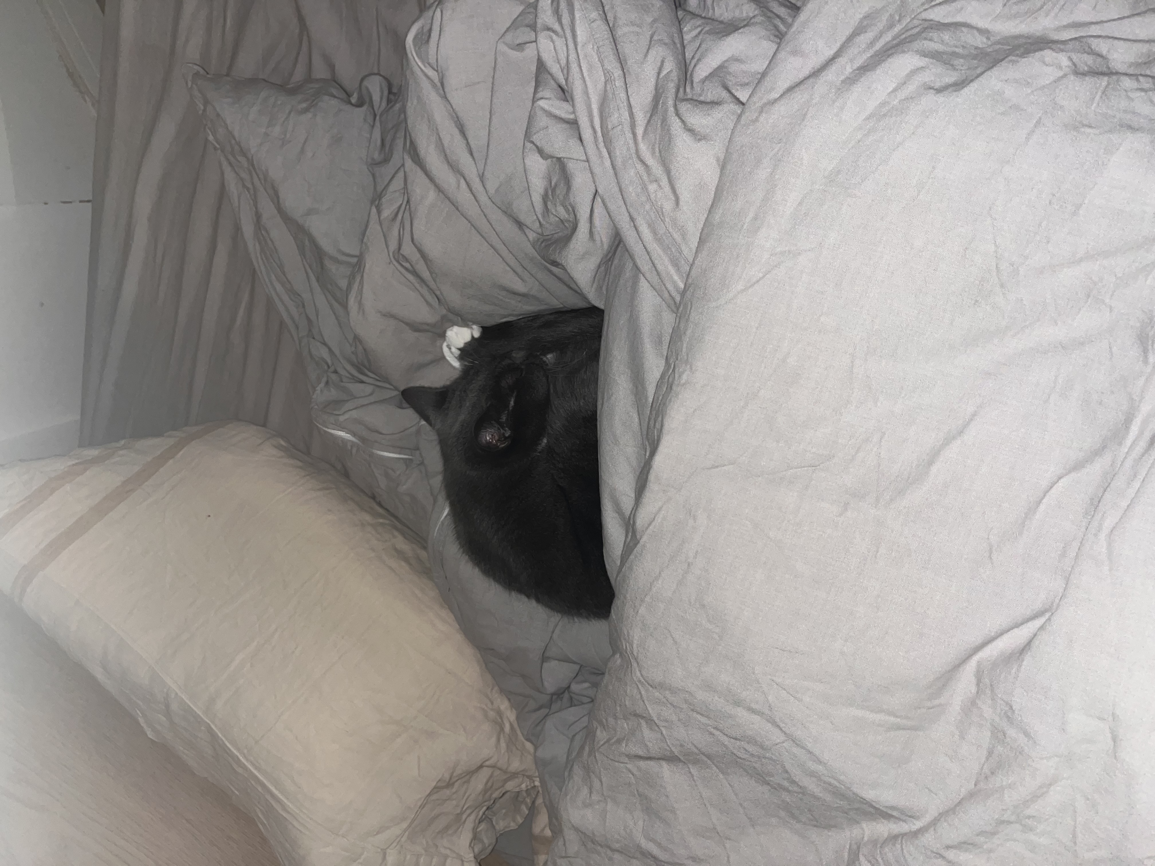 image-13