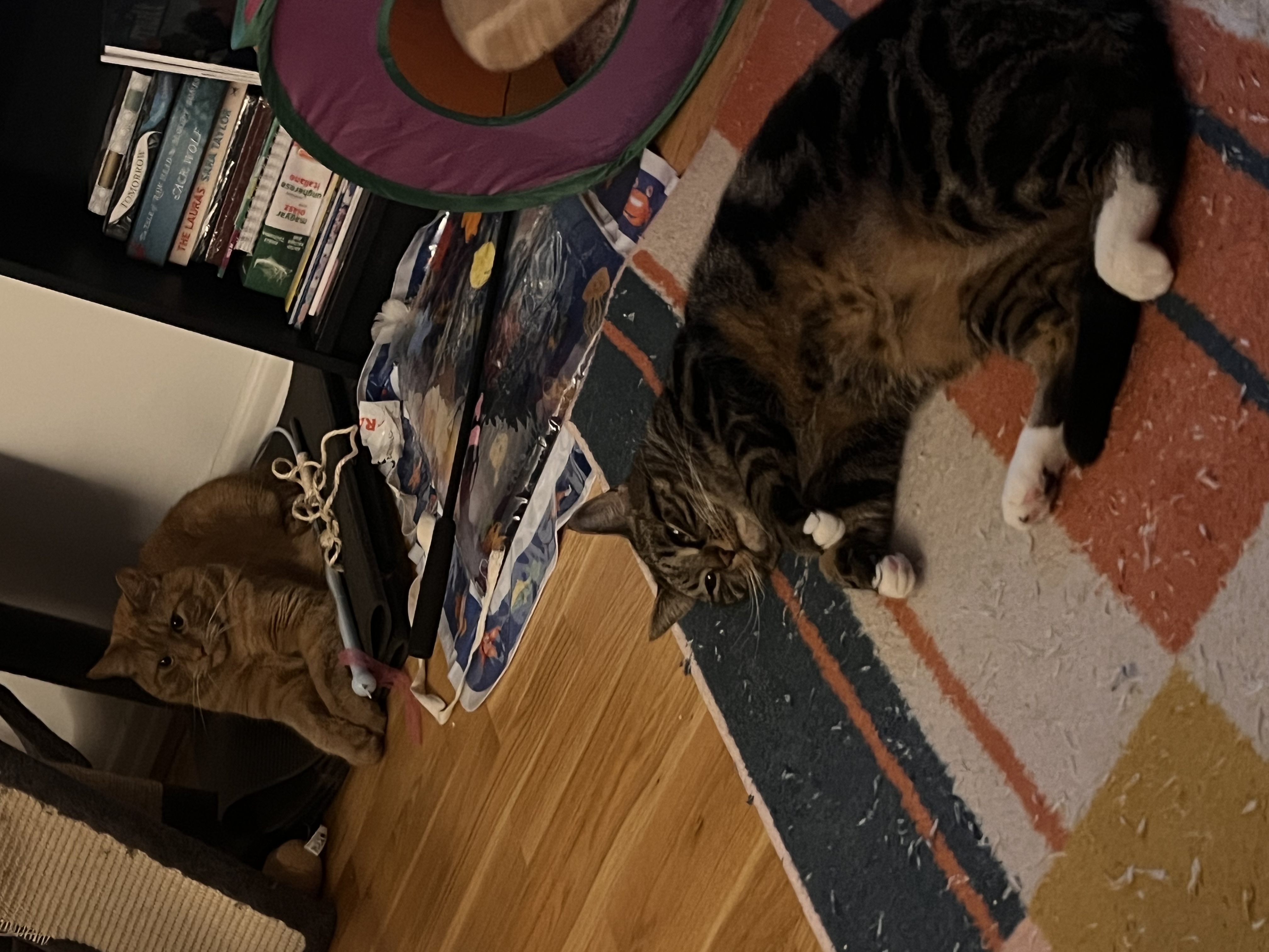 image-17
