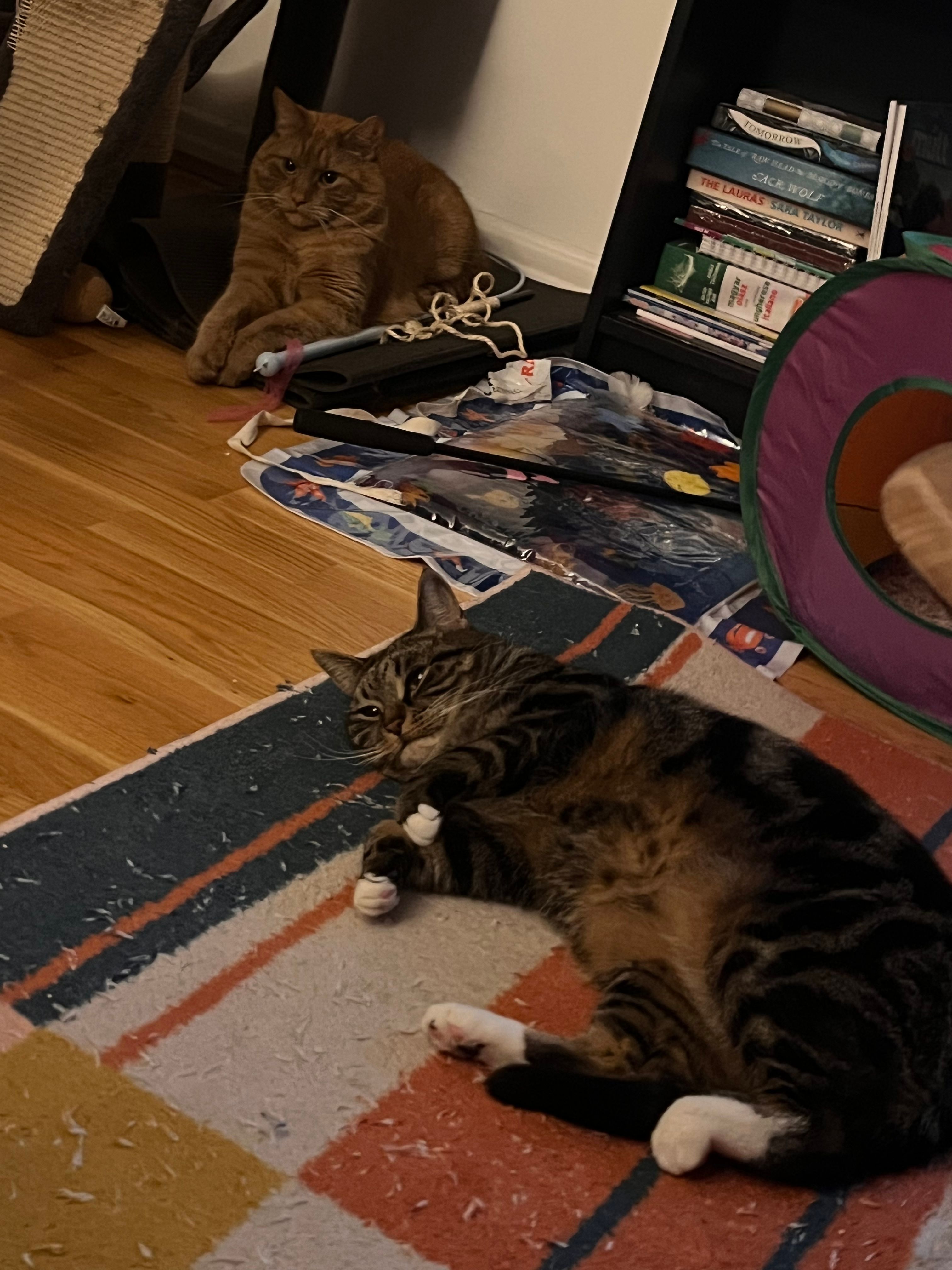 image-17