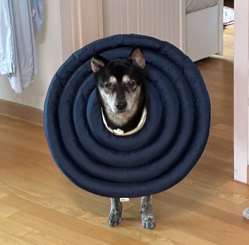 image-16