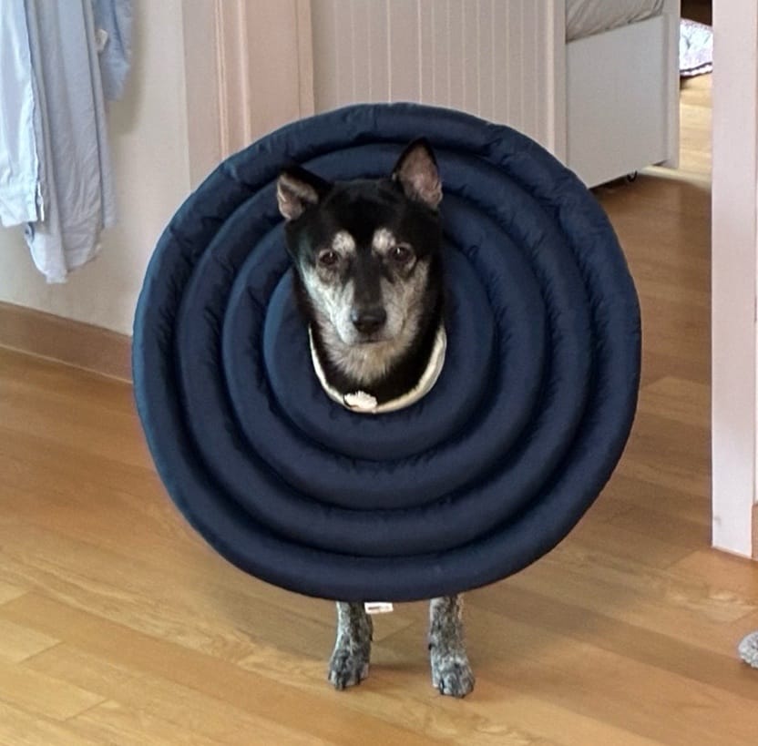 image-16