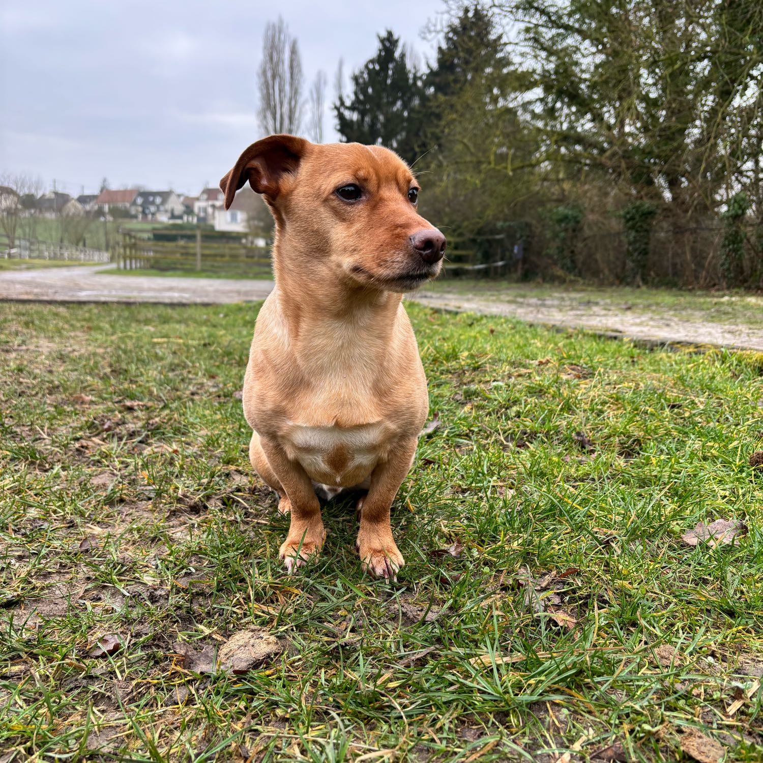 Max