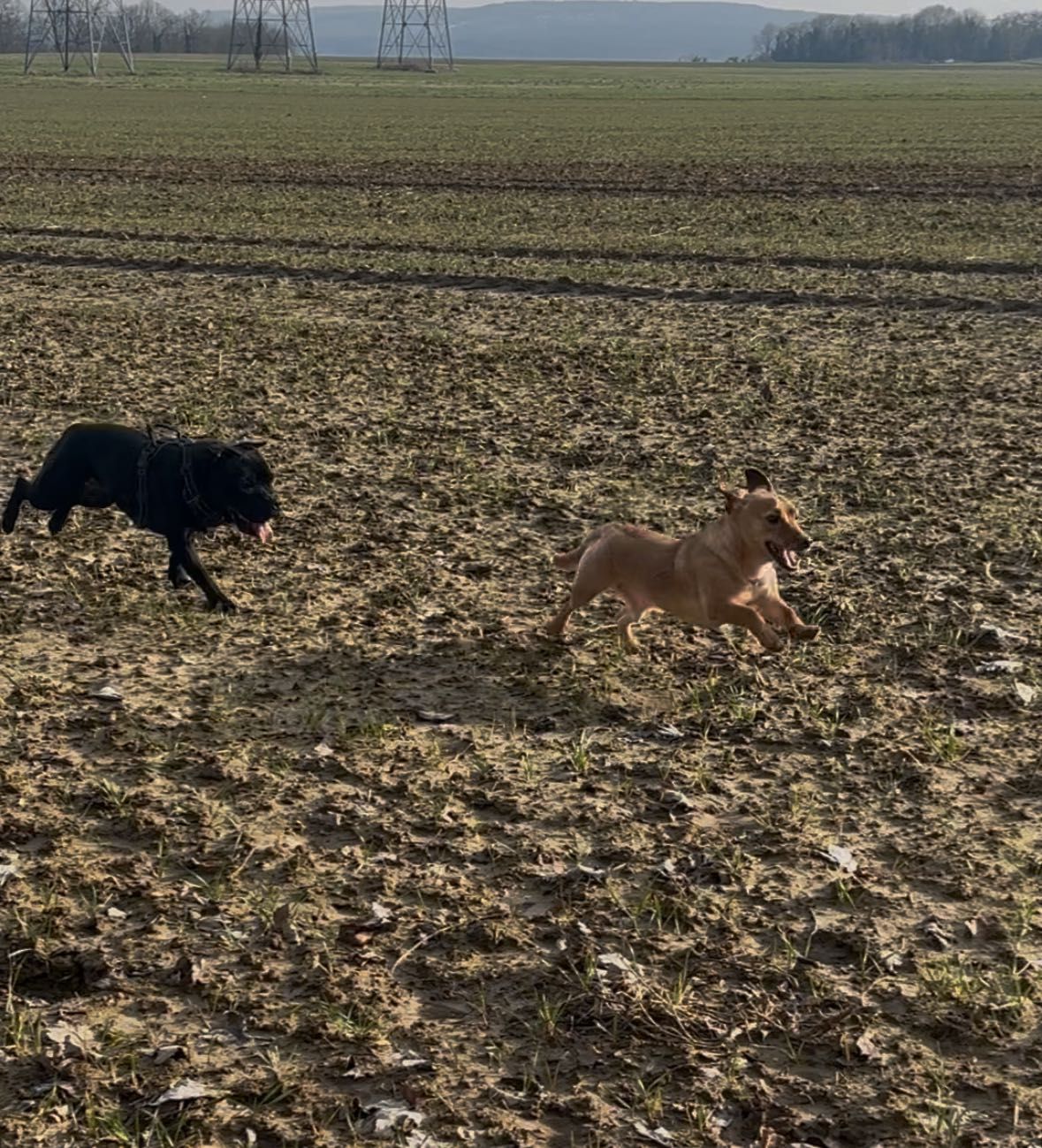 image-9
