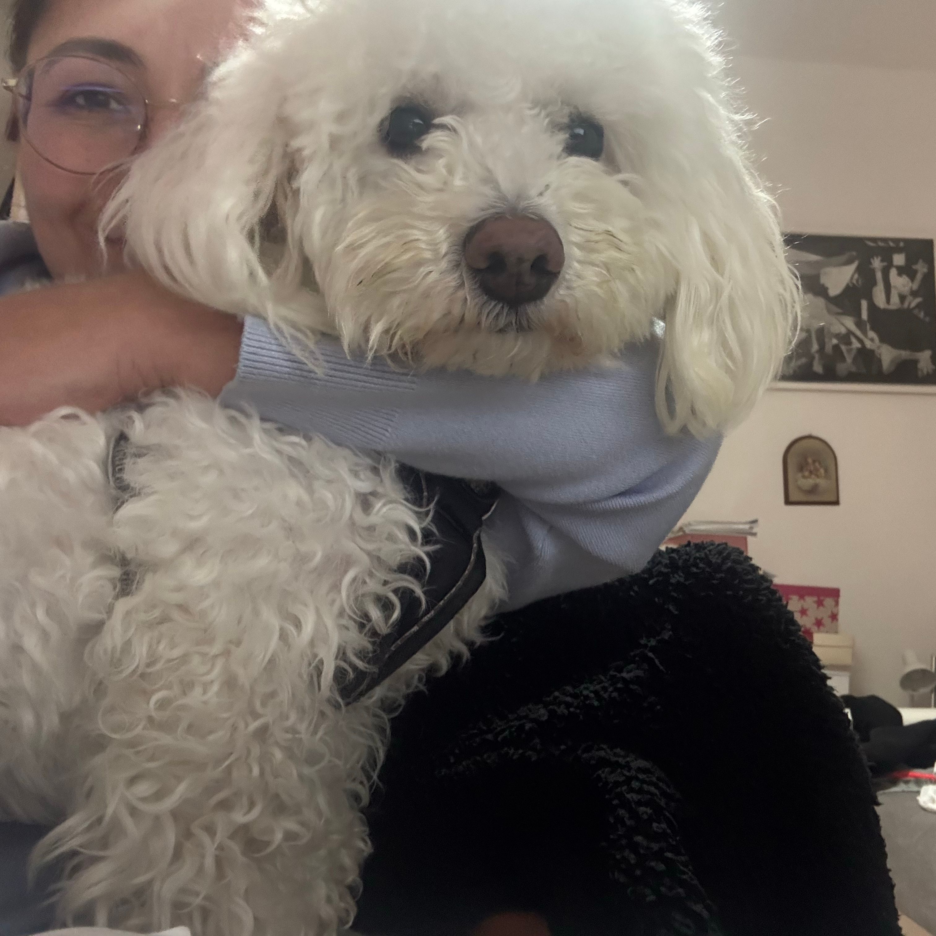 Tobia