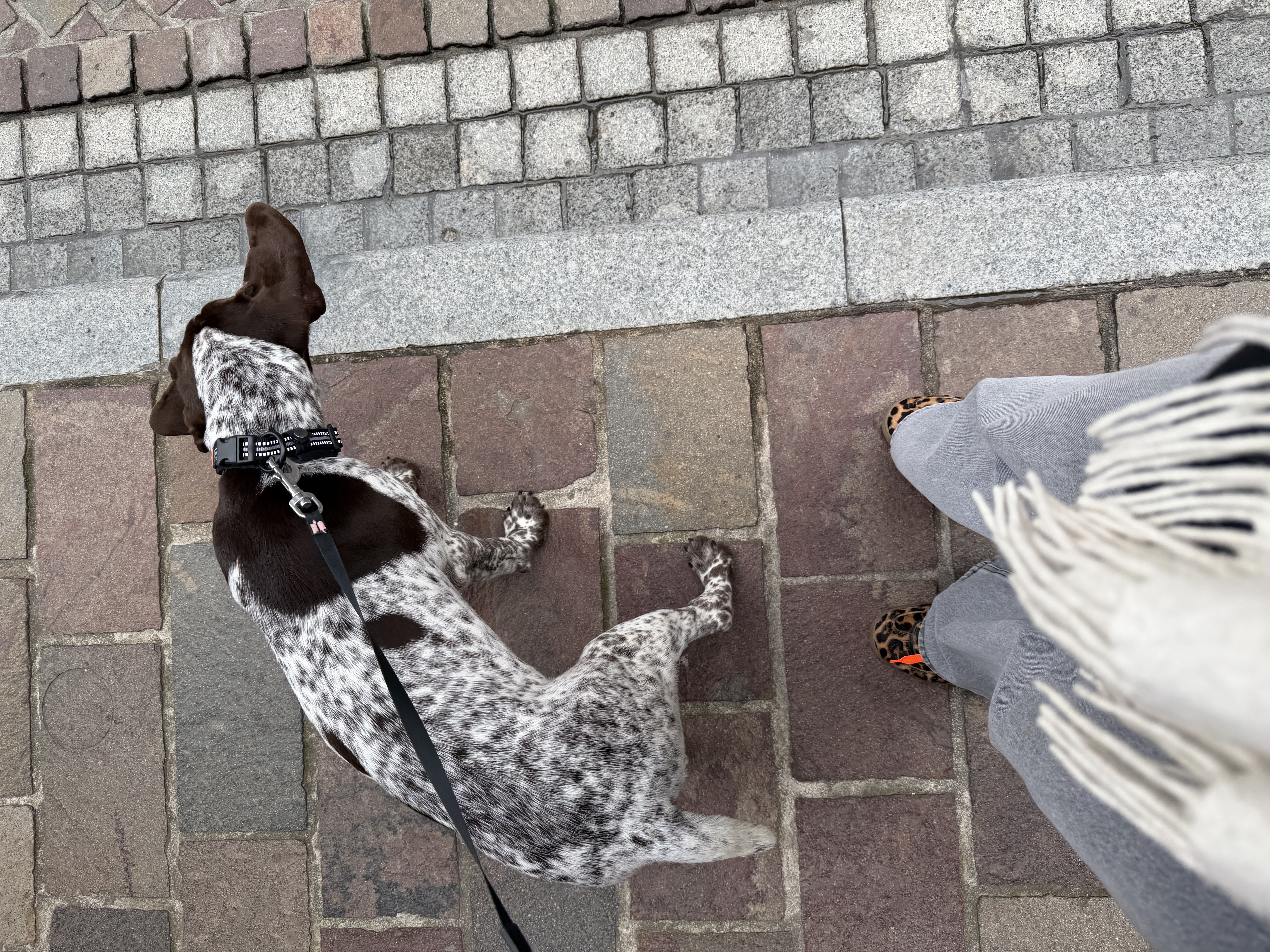 image-5