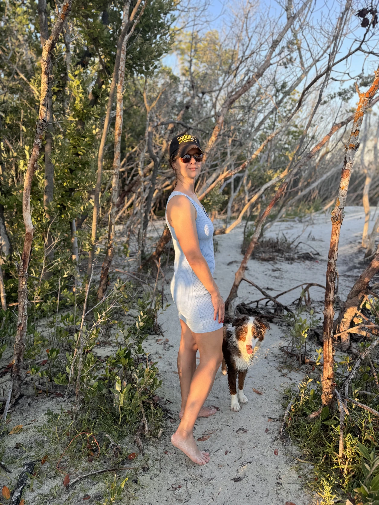 image-7