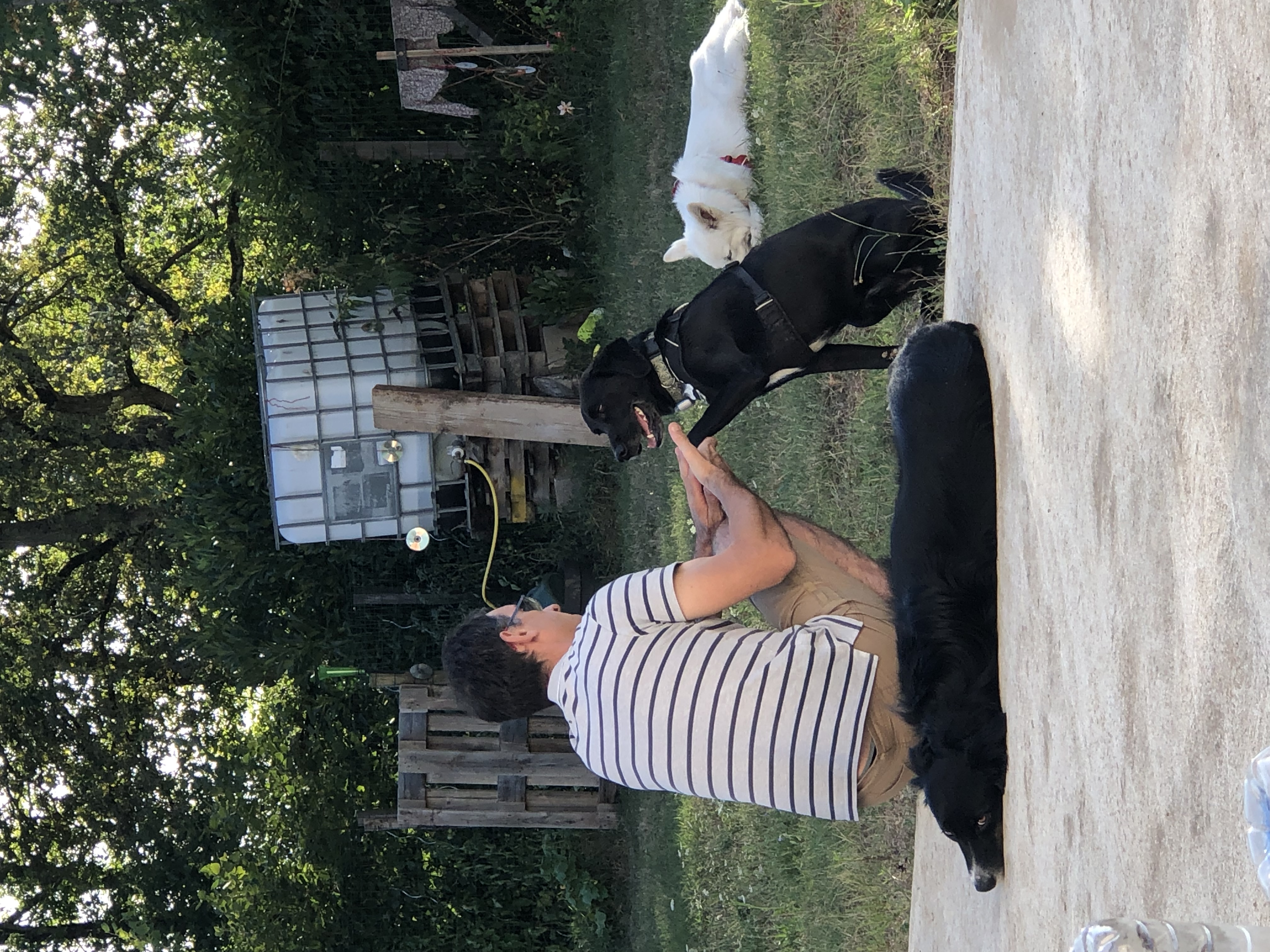 image-14
