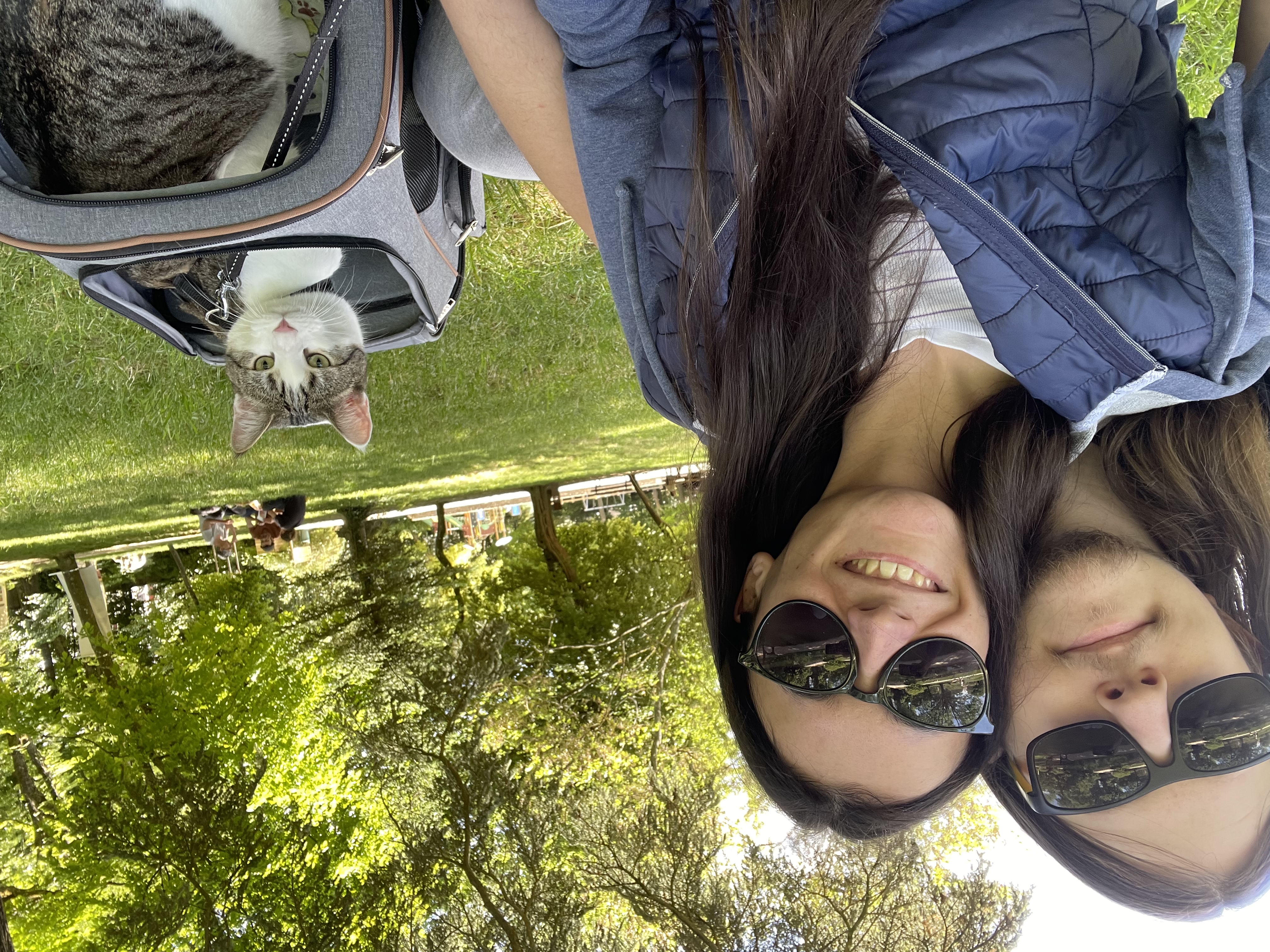 image-0