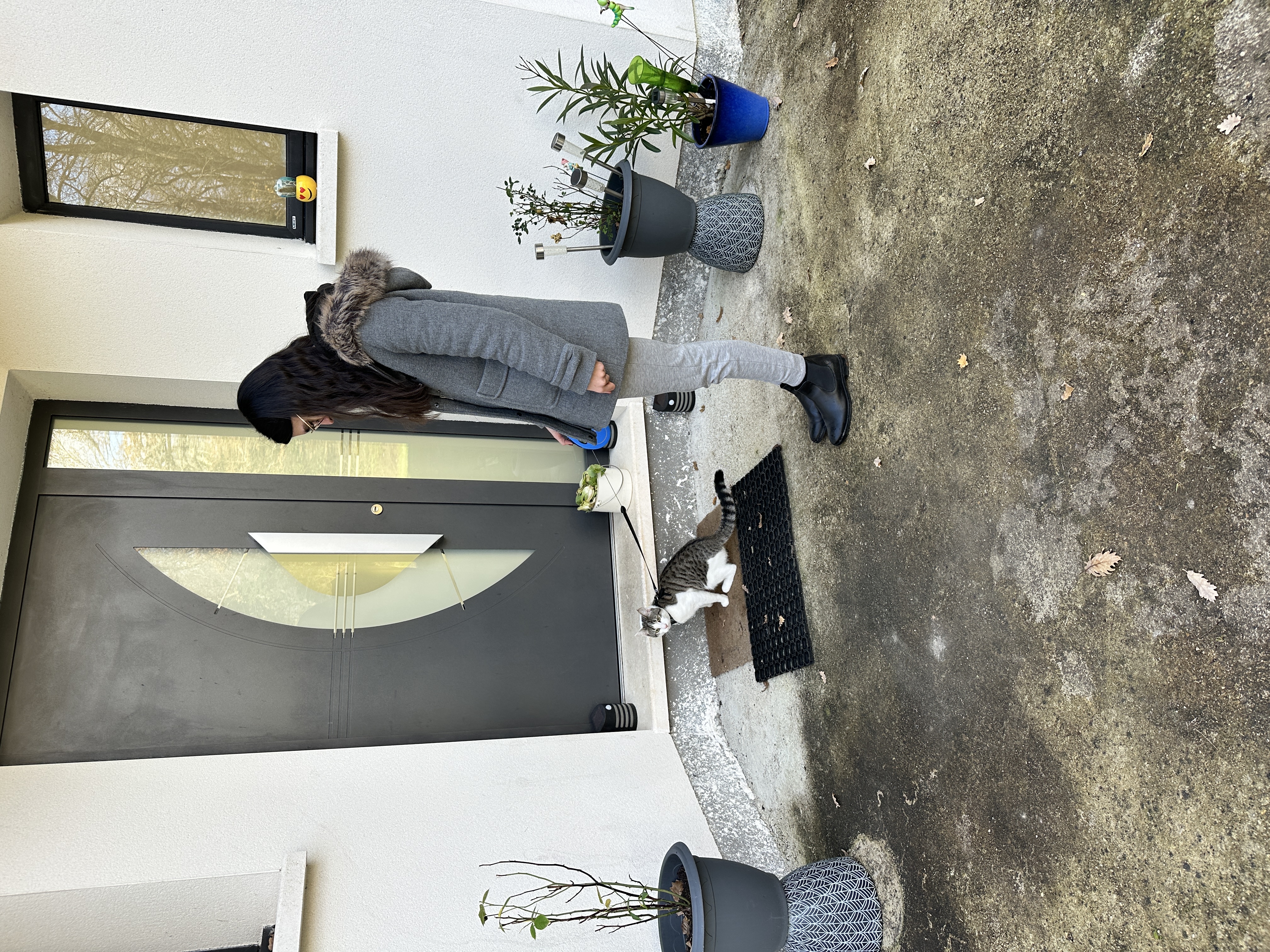 image-7