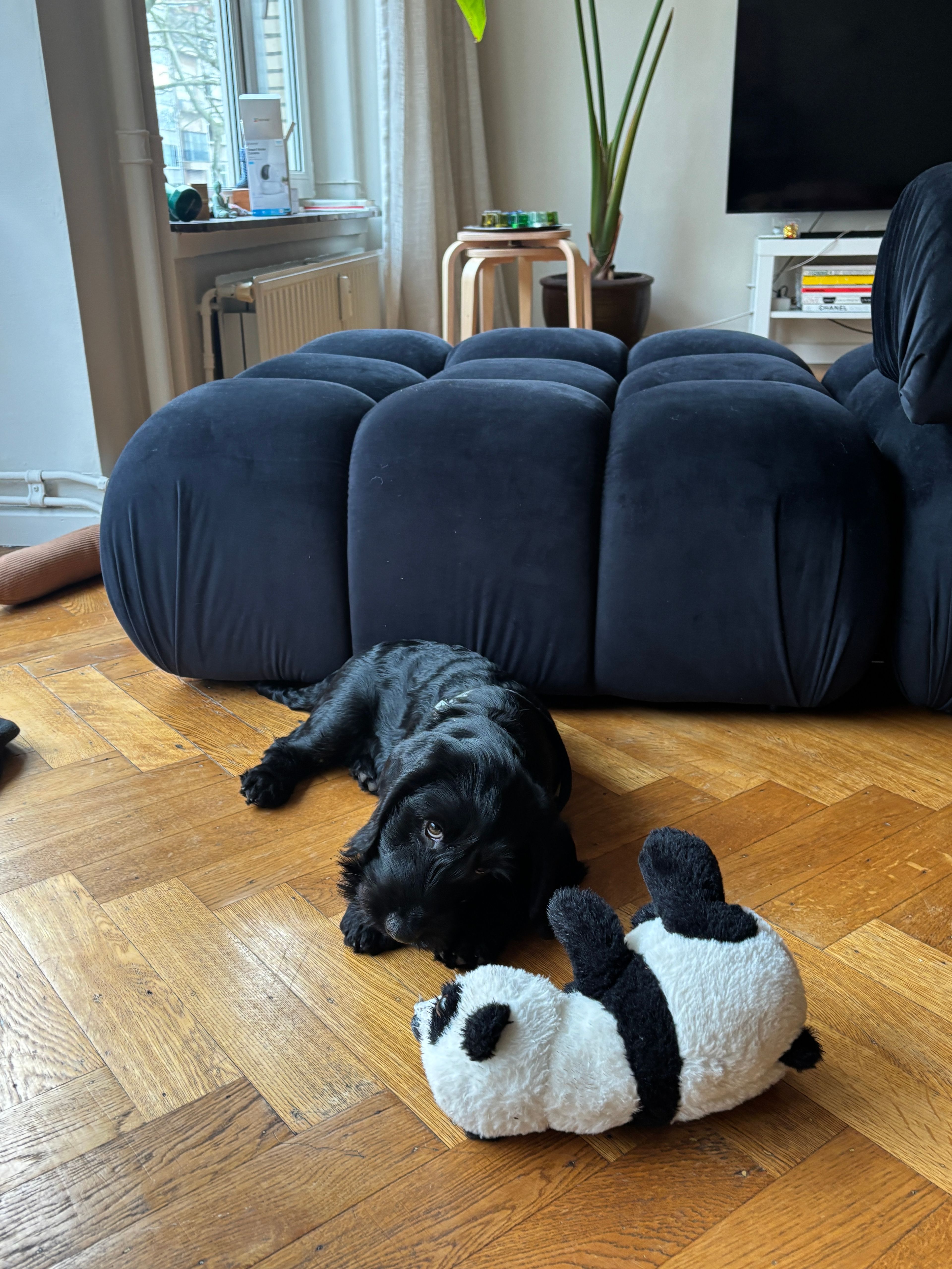 image-17