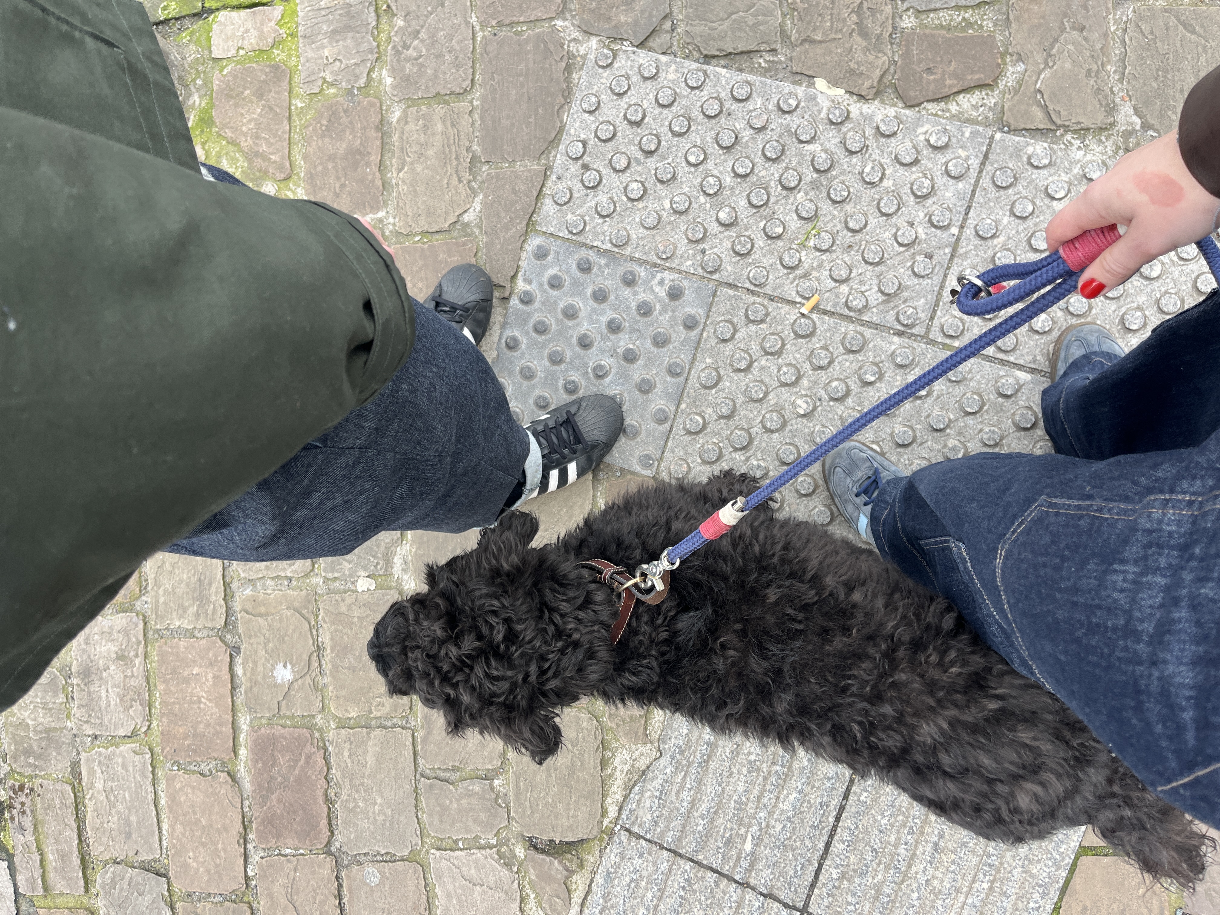 image-13