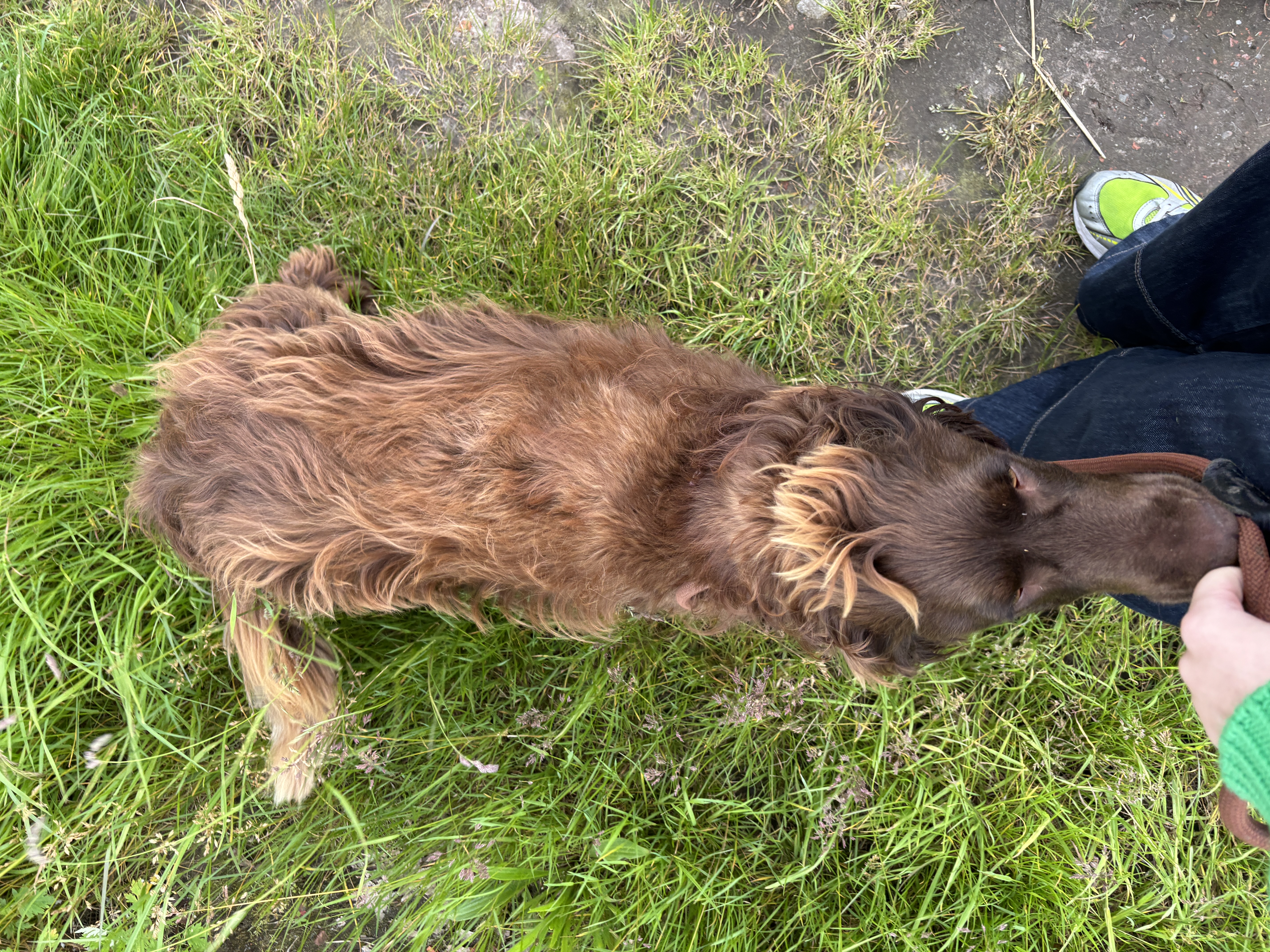 image-8