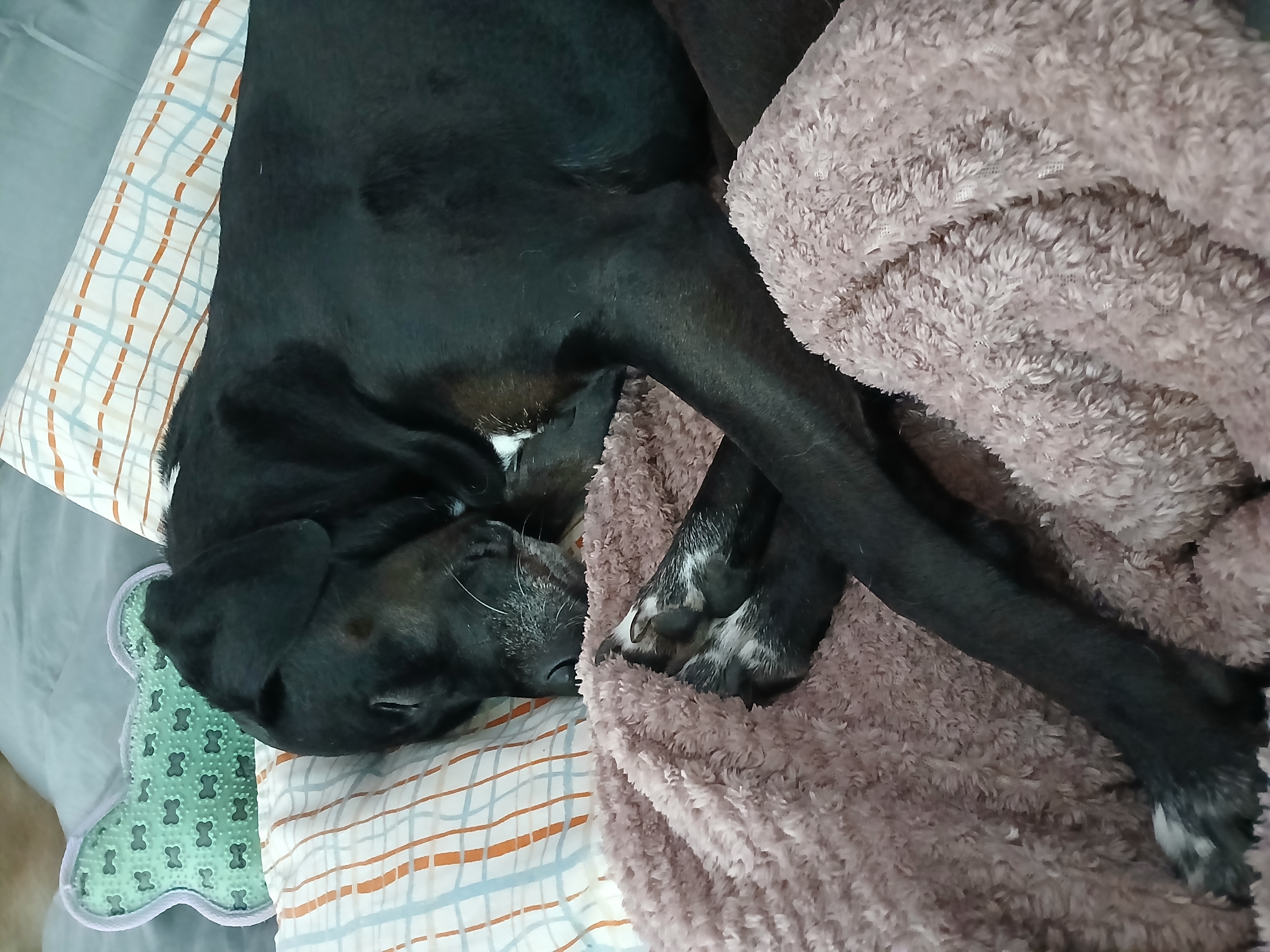 image-13
