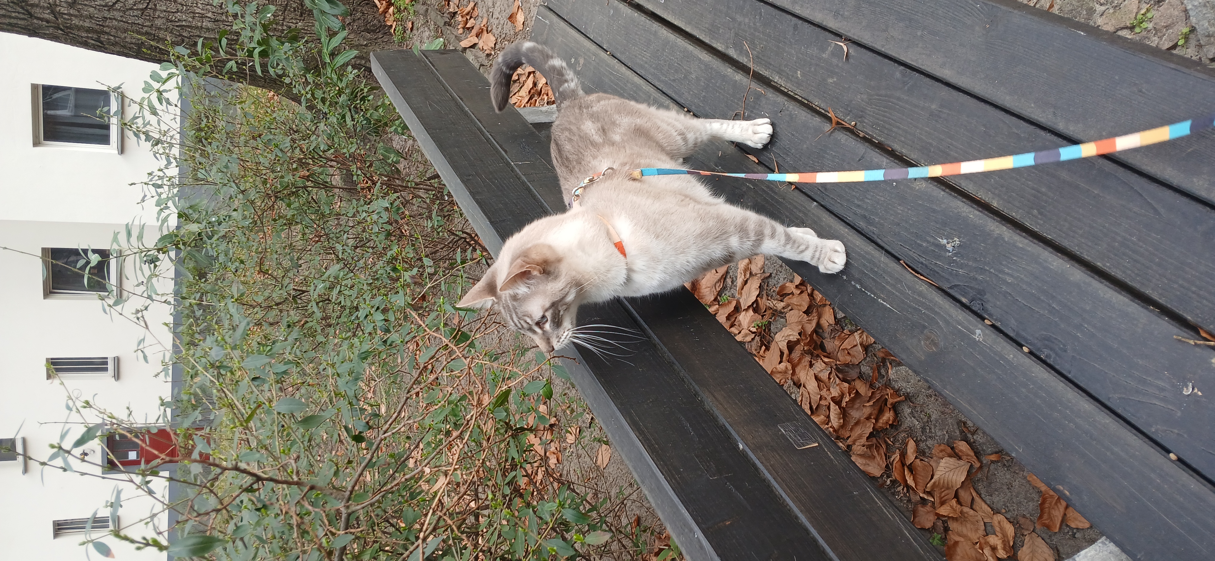 image-8