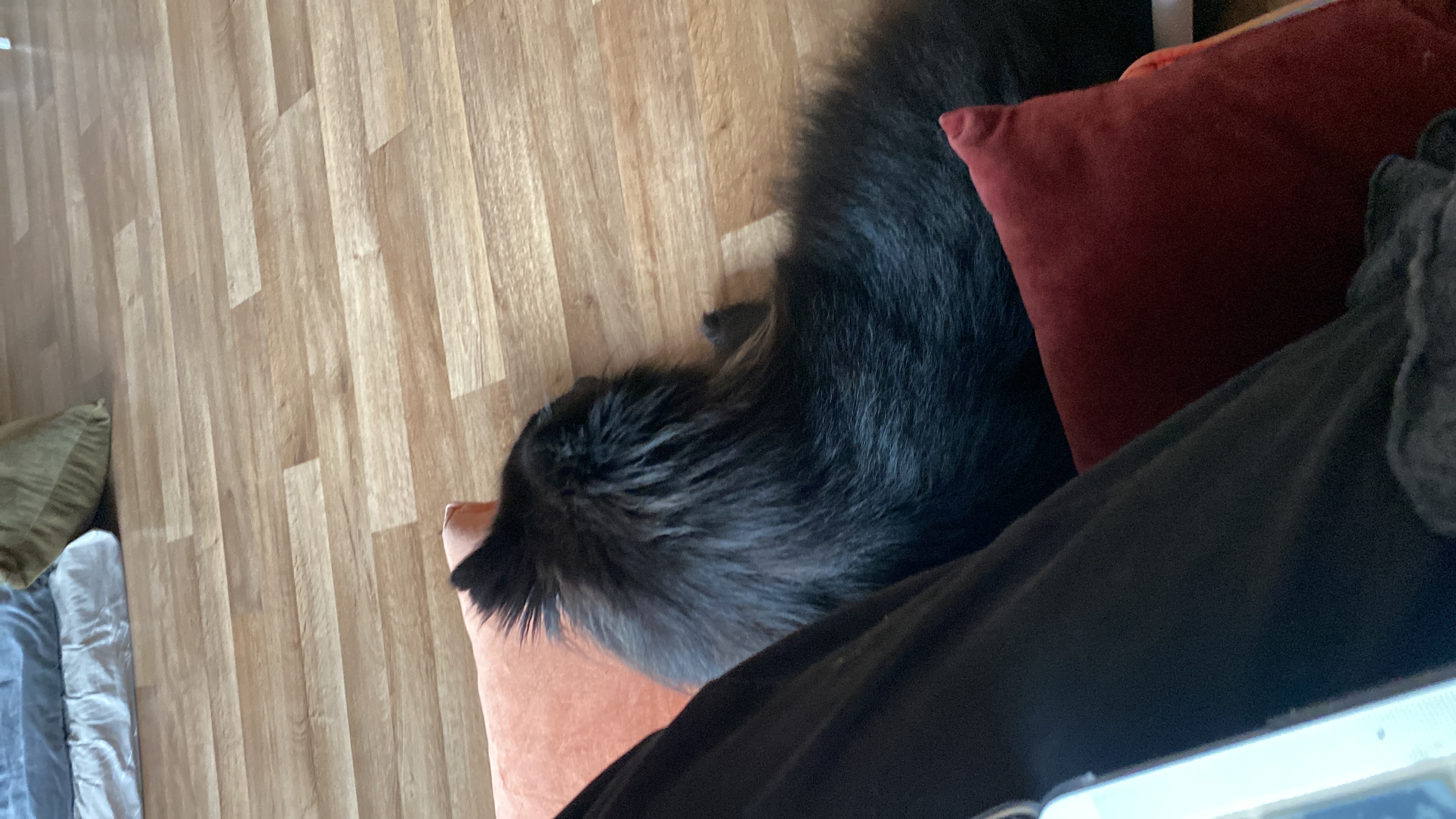 image-10