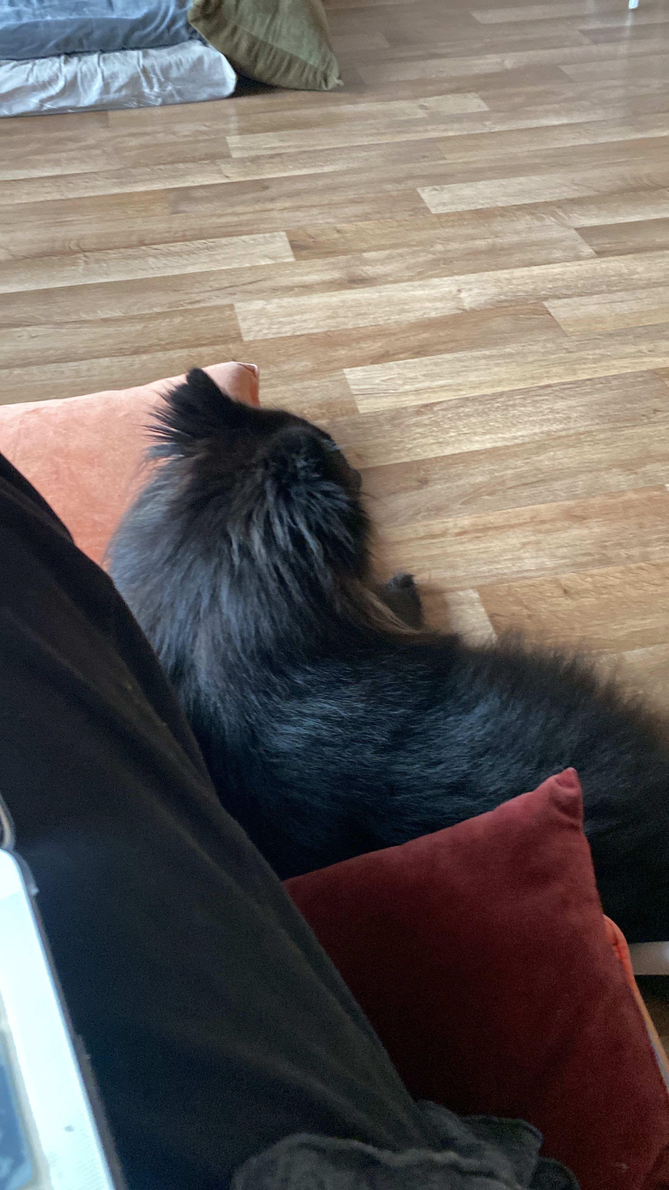 image-10
