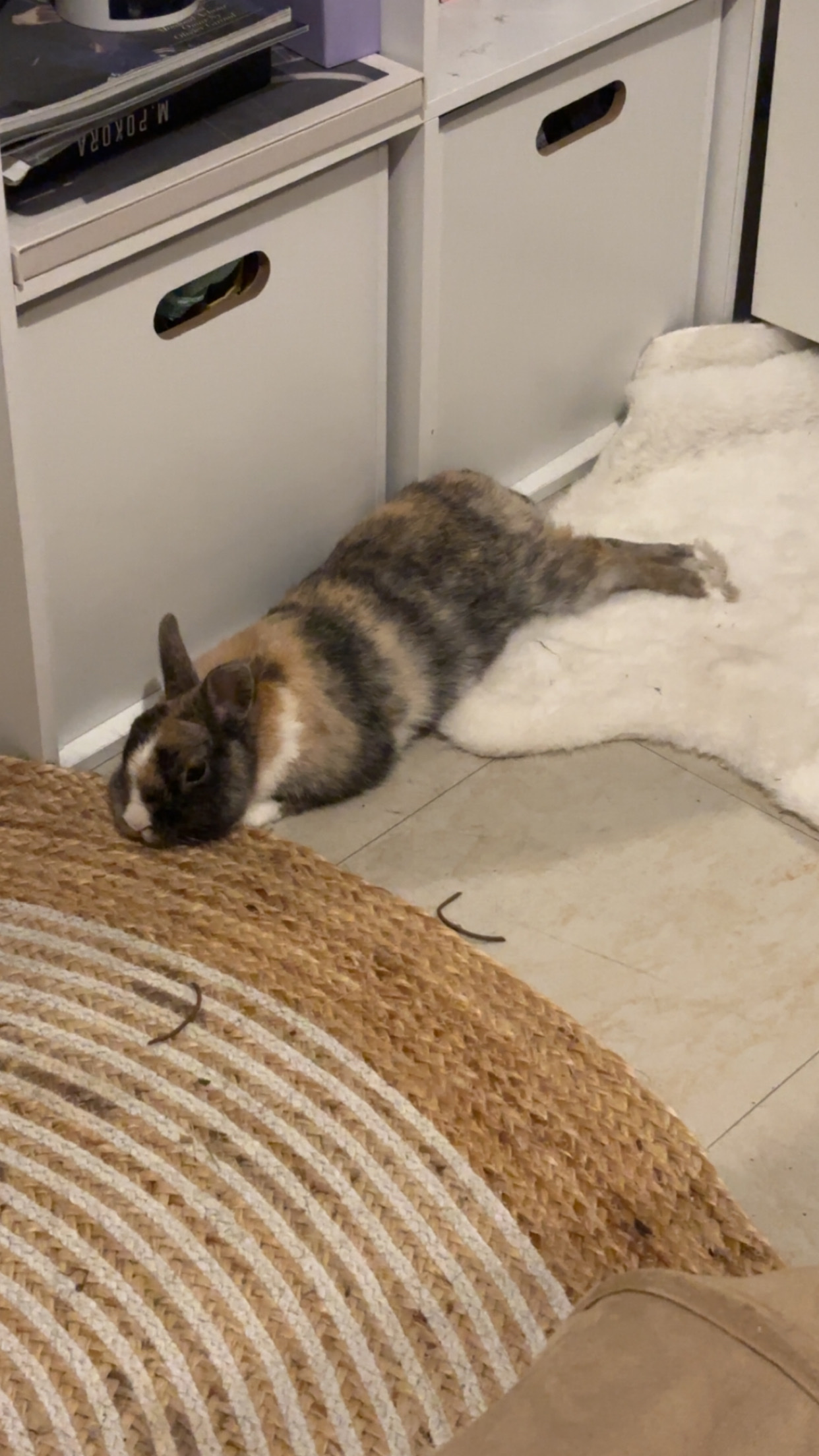 image-10