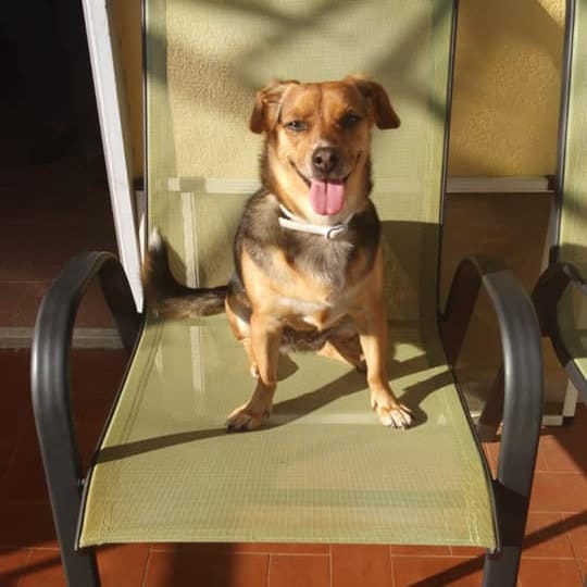 Luna