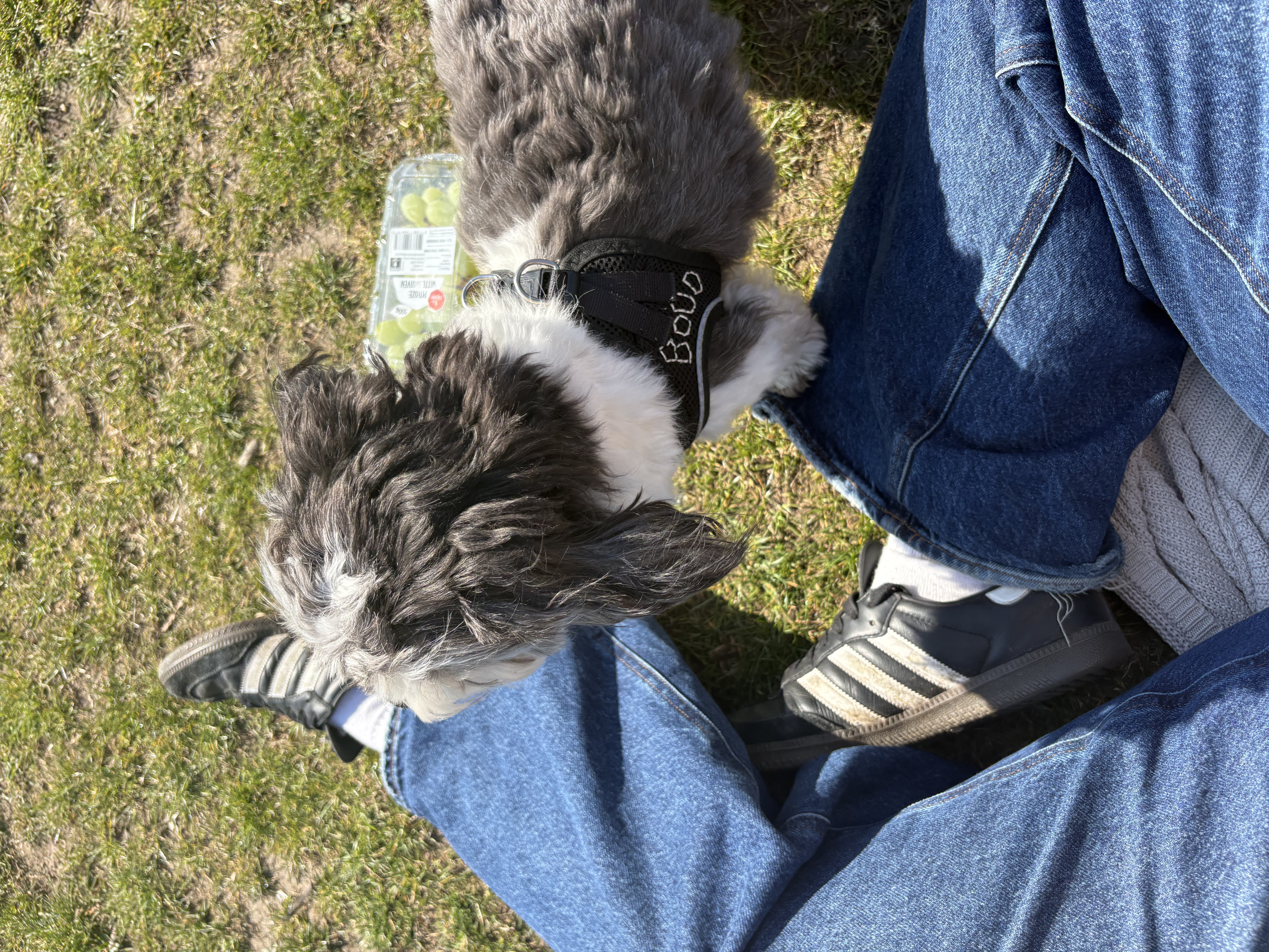 image-8