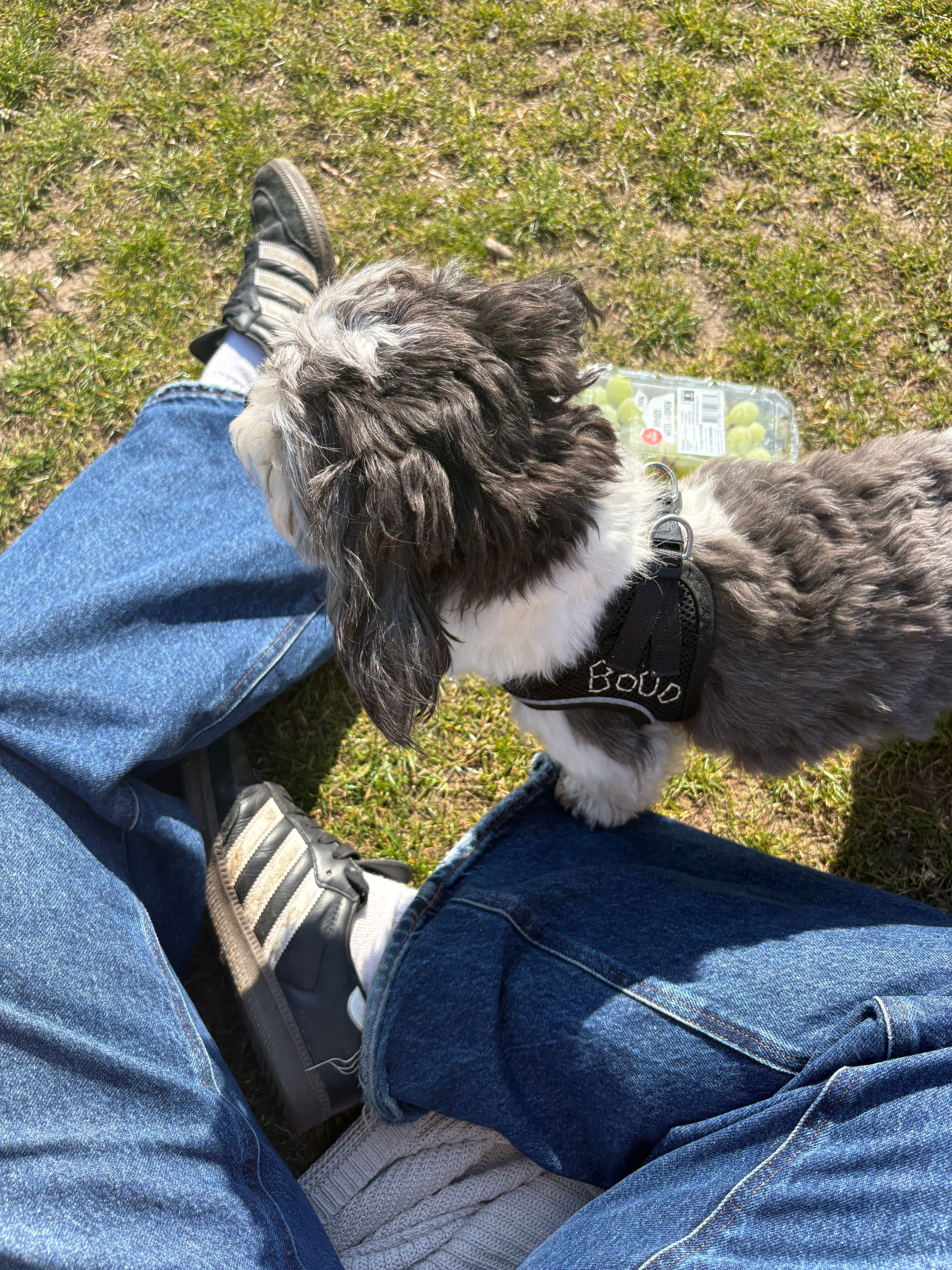 image-8