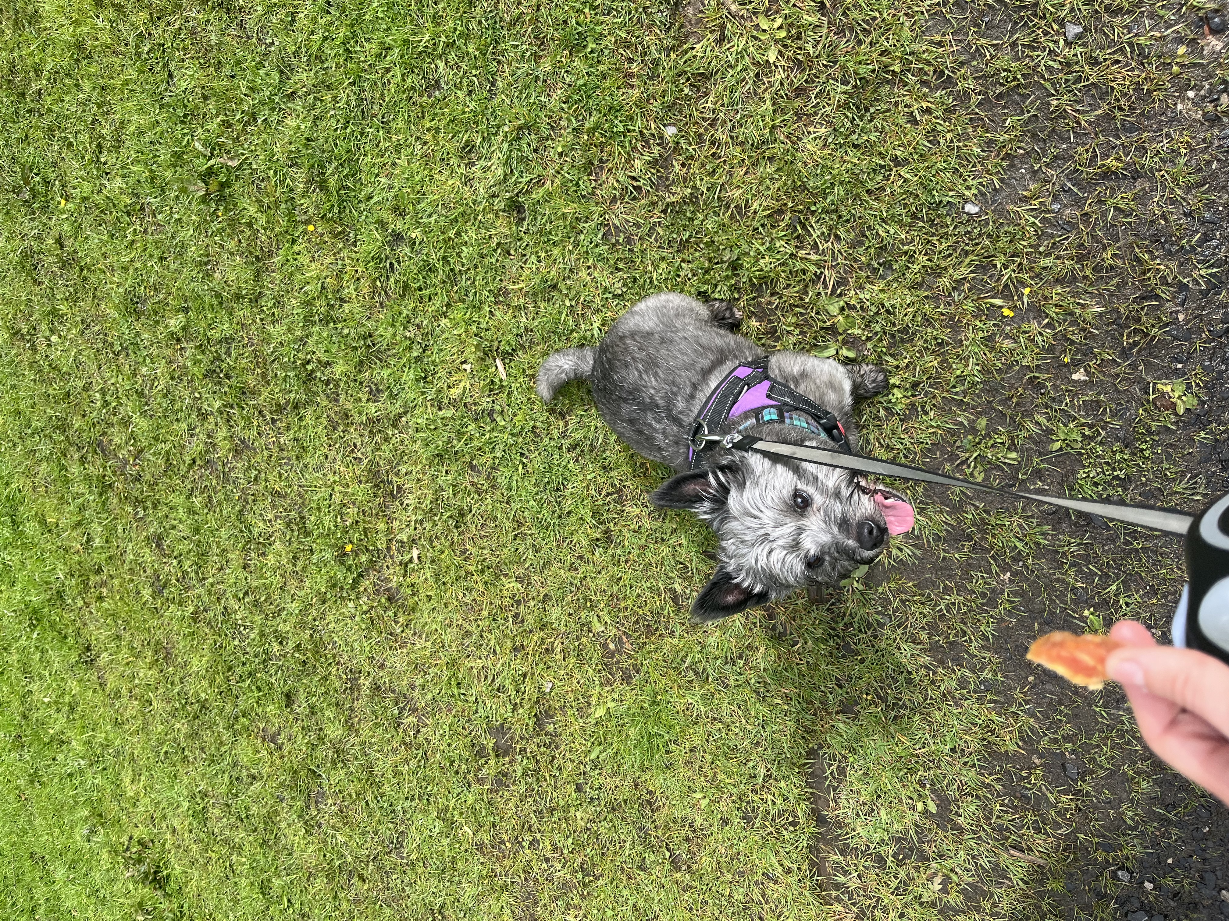 image-4