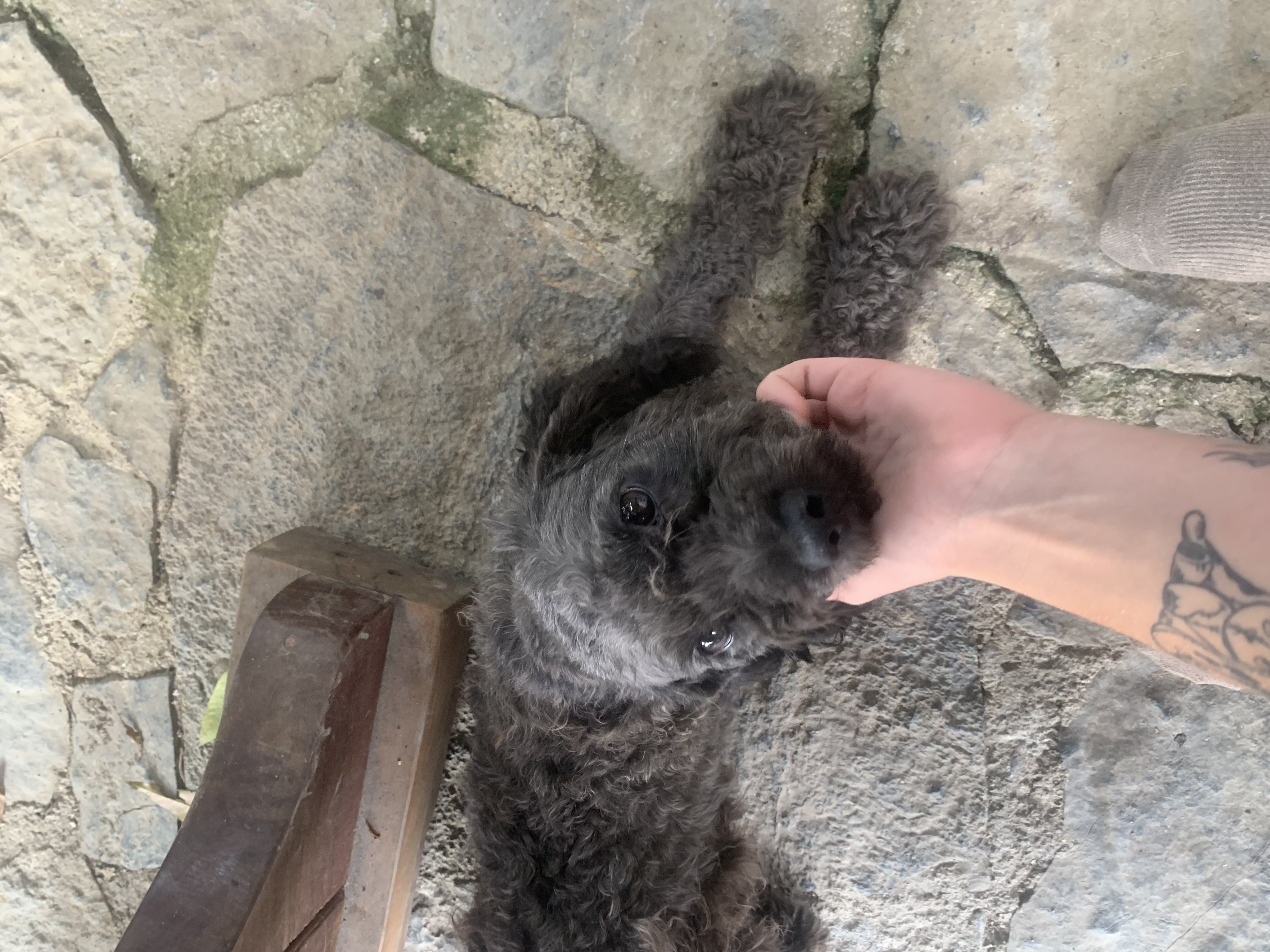 image-9