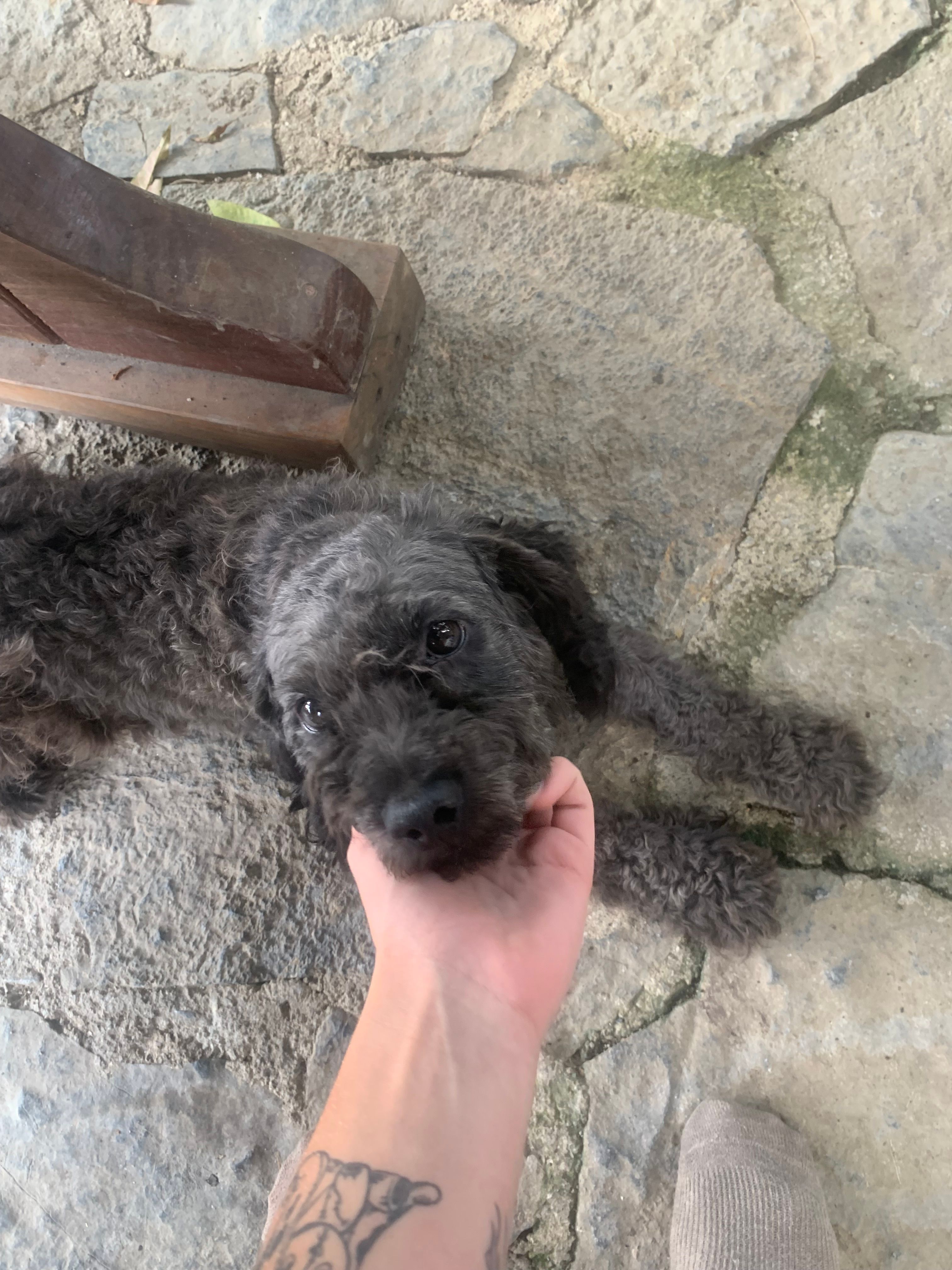 image-9