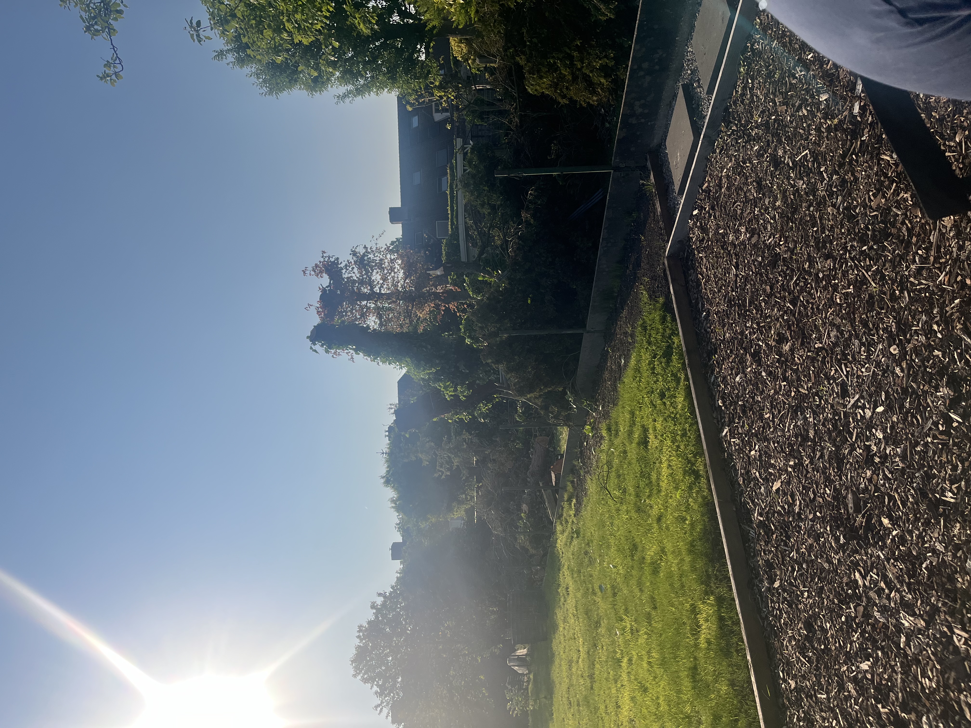 image-19