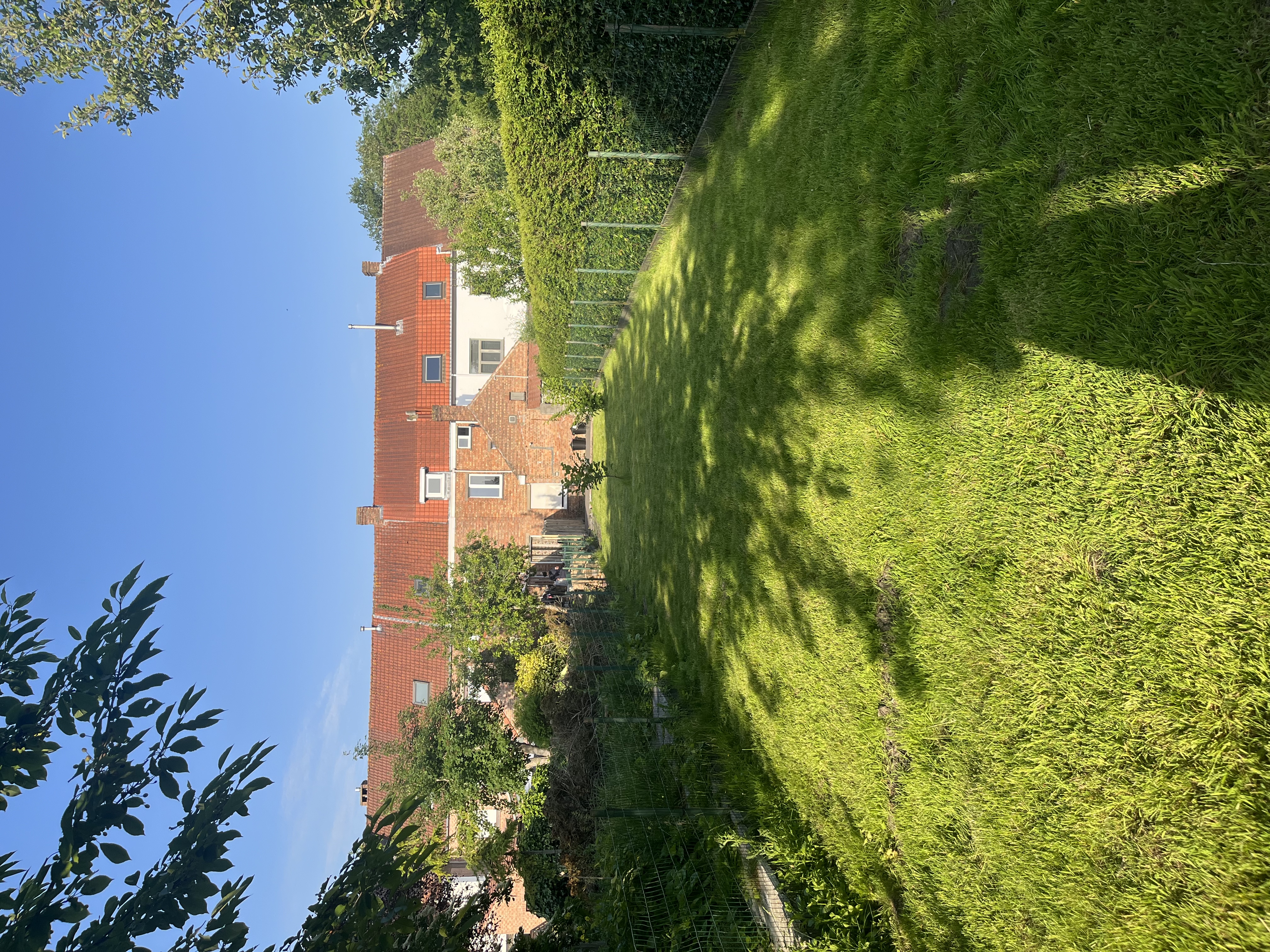 image-20