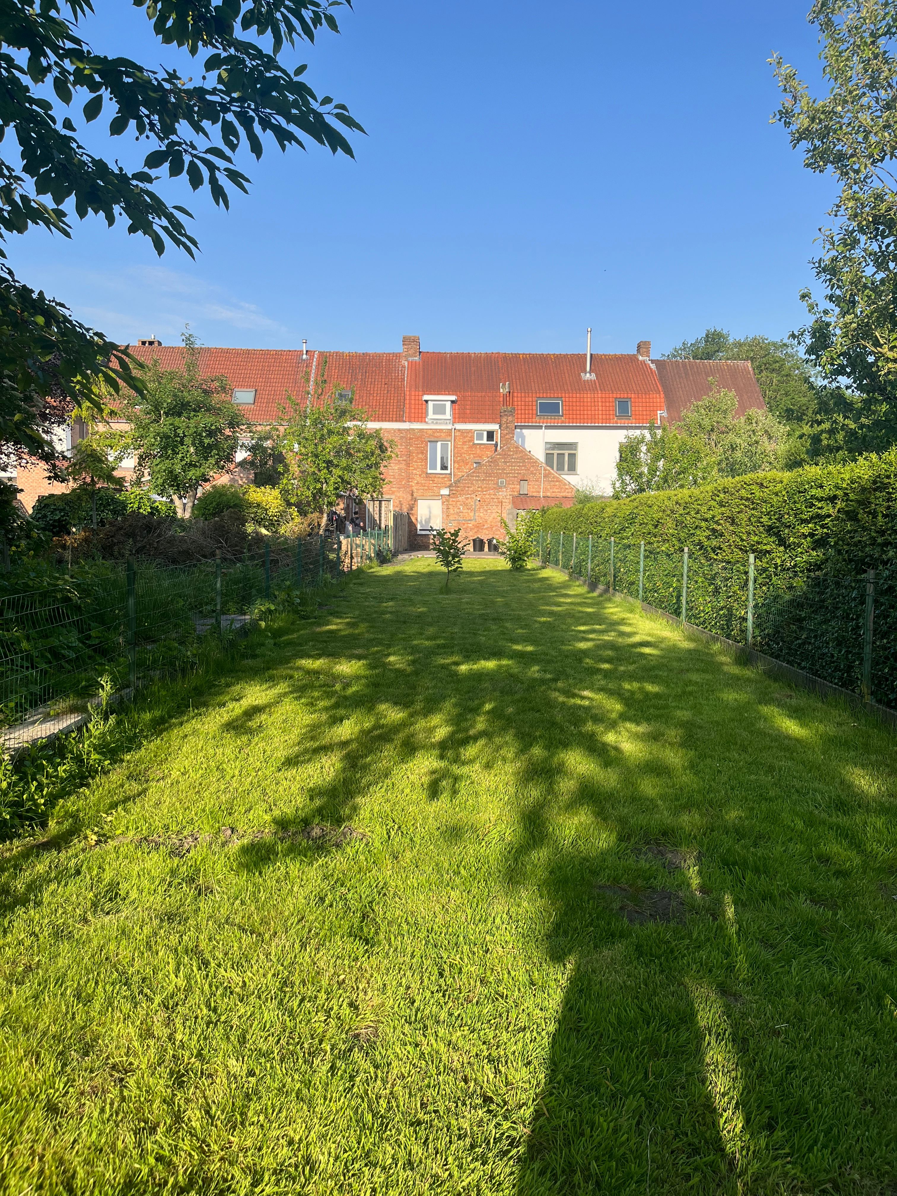 image-20