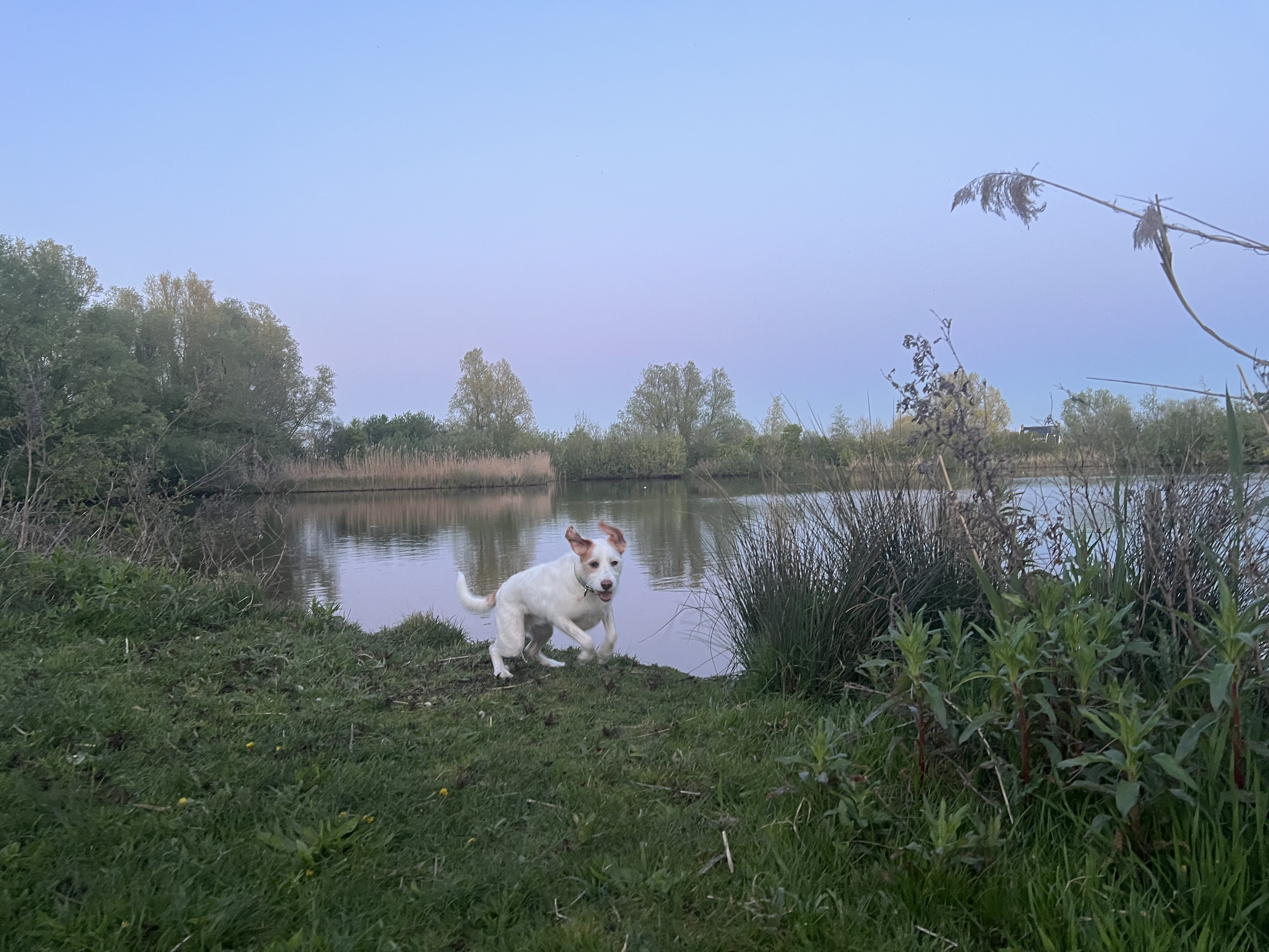 image-16