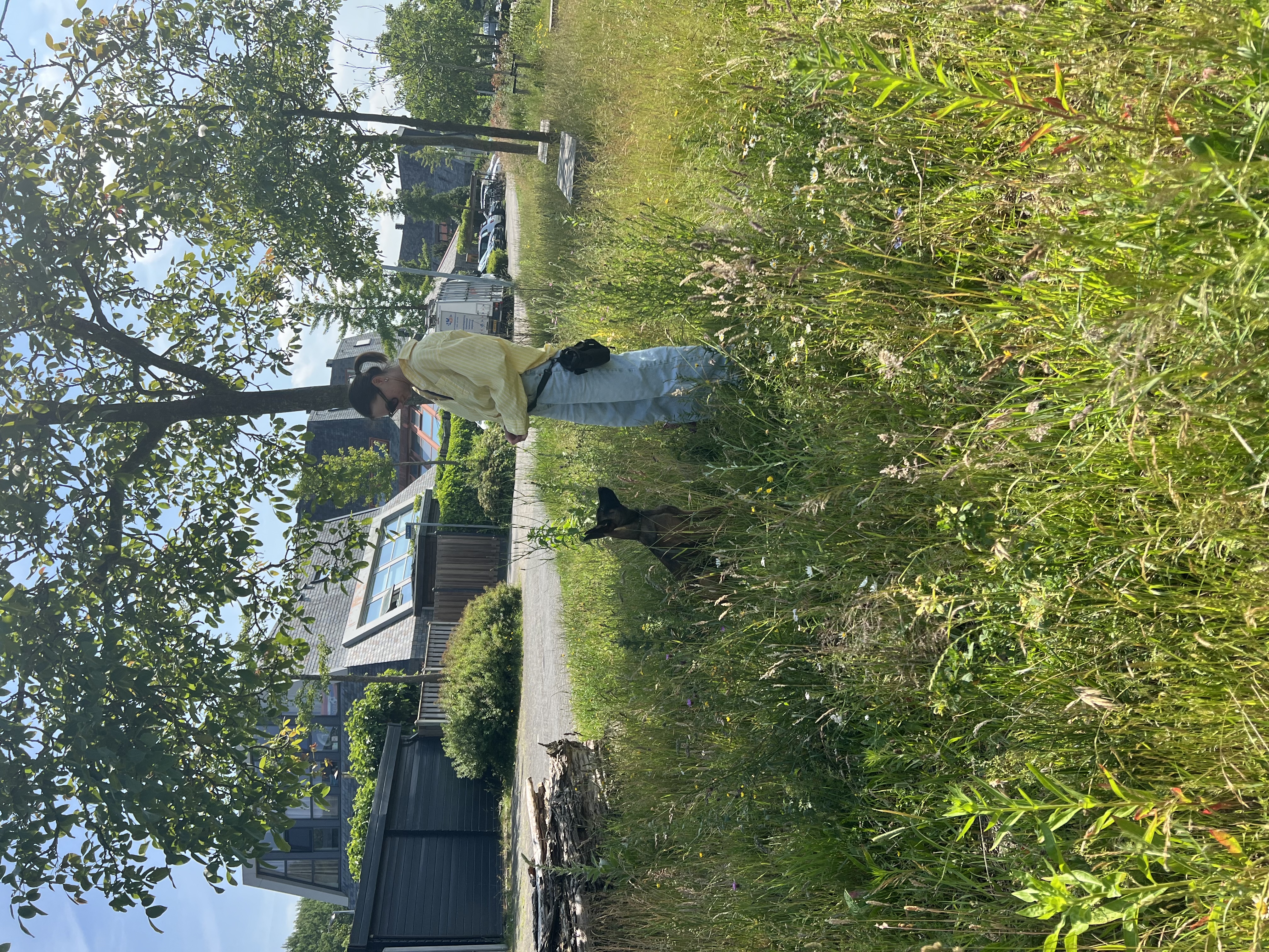 image-14