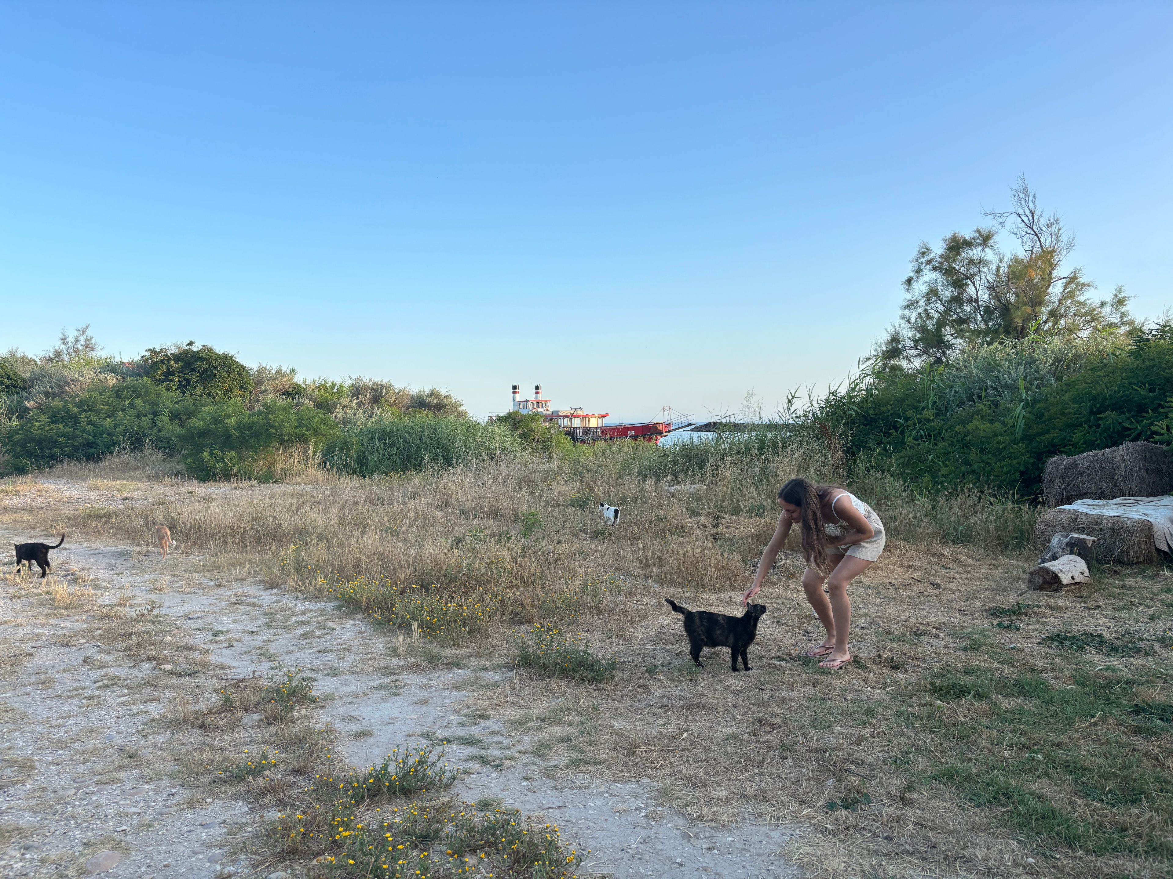 image-9